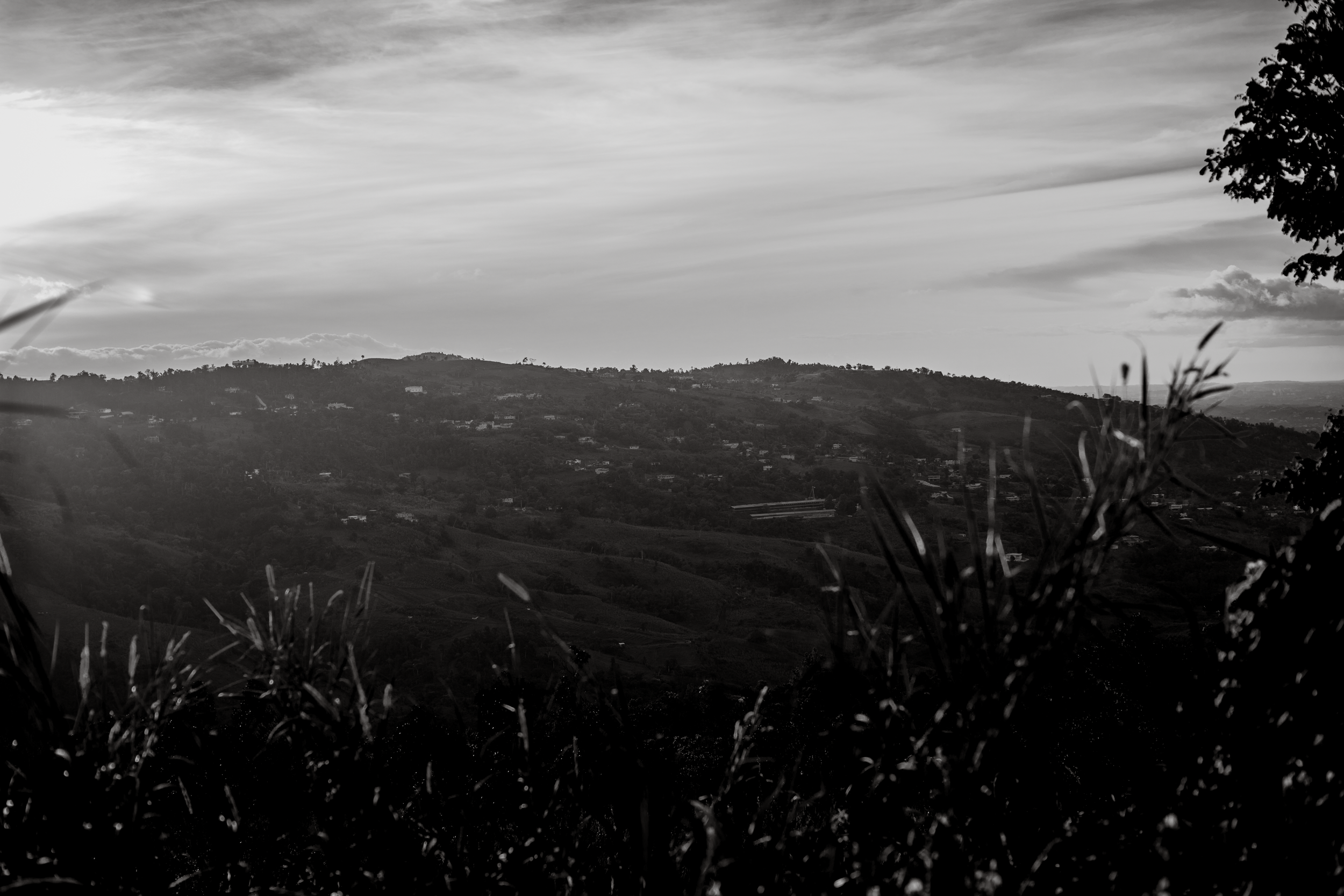 20210107-20210107-20210107-_MG_1703.png