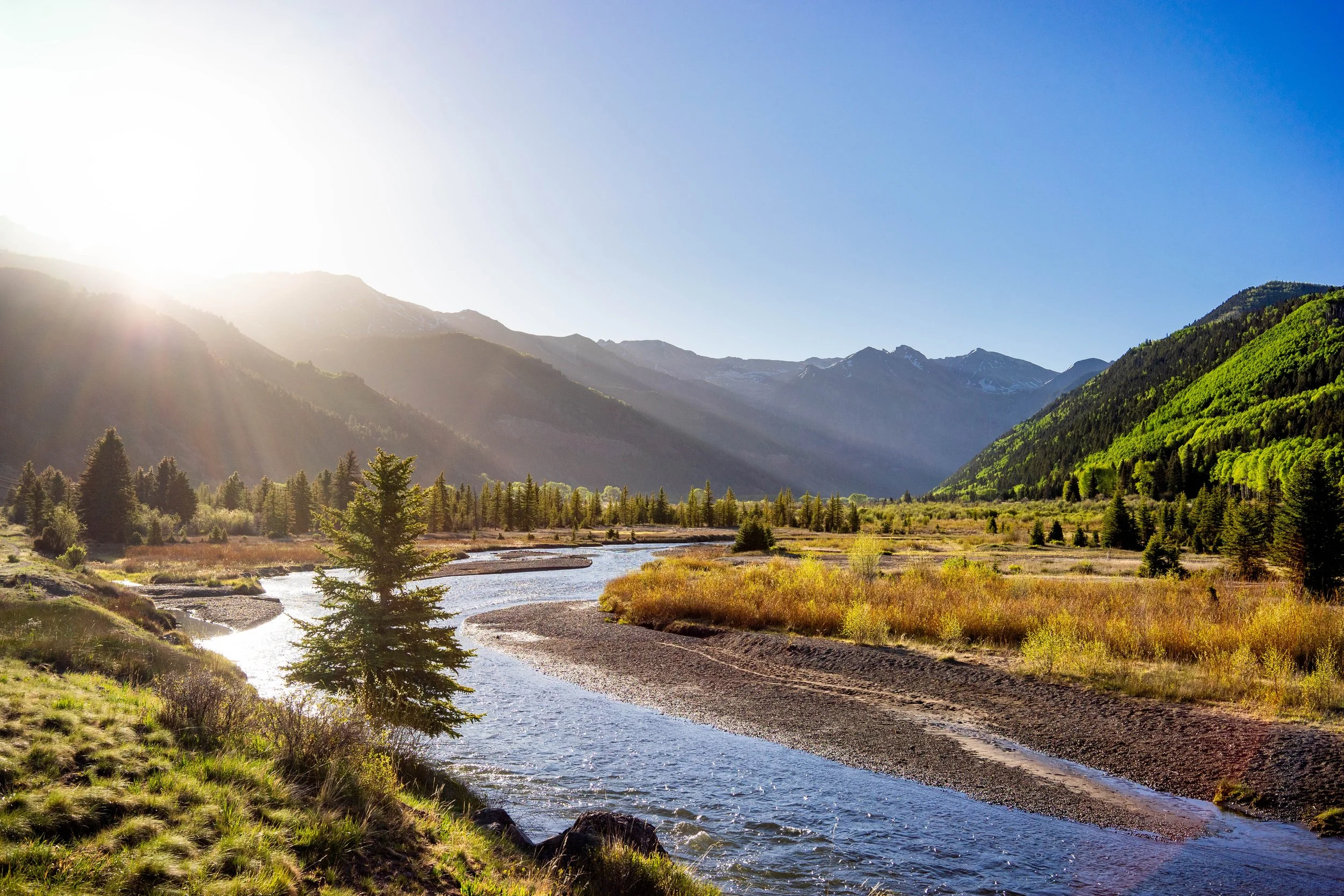 Telluride Summer Stream