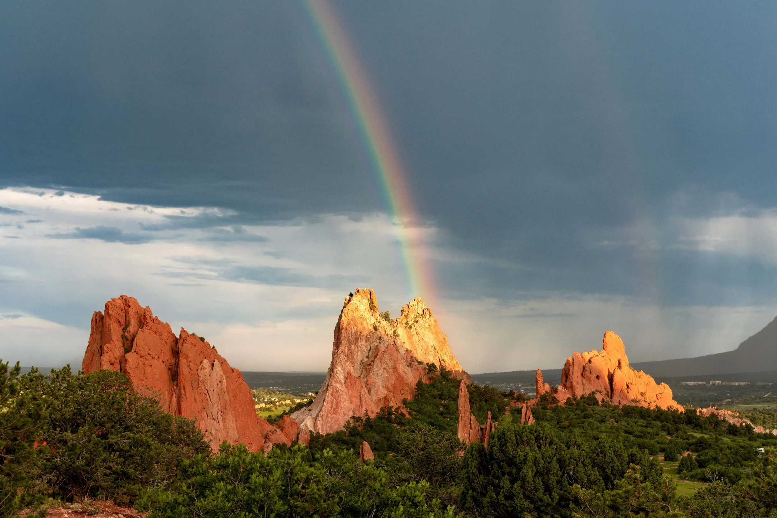 Garden Rainbow