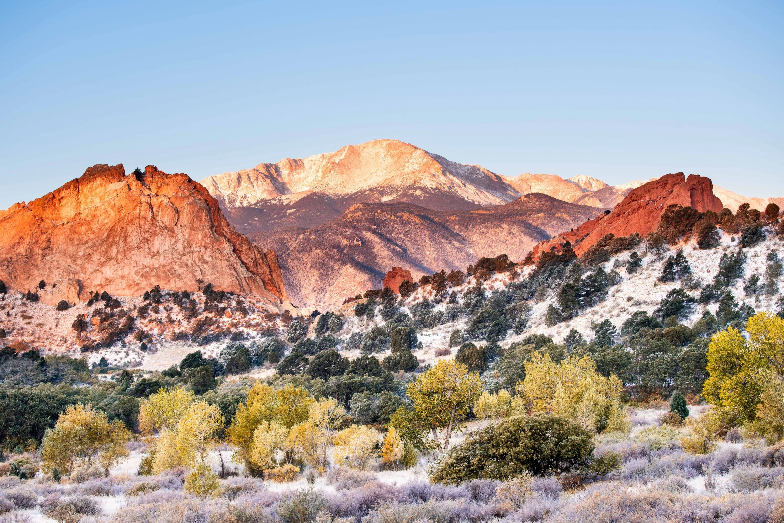 Garden Snow Sunrise_RII06124.jpg
