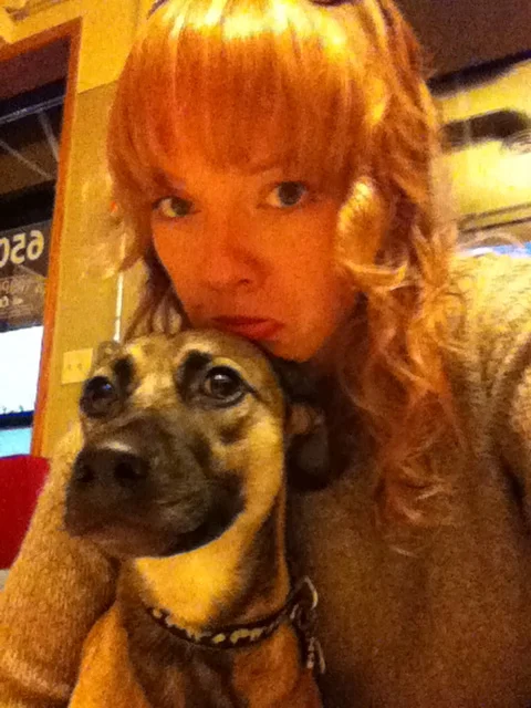 #13. Board My Puppy Dog.