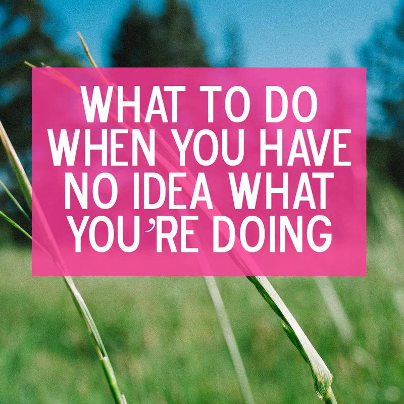 What To Do When You Have No Idea What You're Doing.