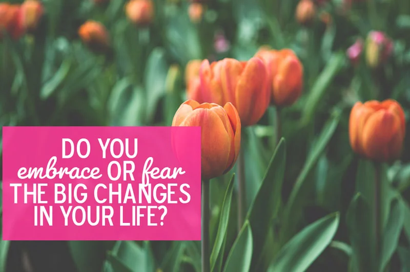 Do You Embrace or Fear the Big Changes in Your Life?