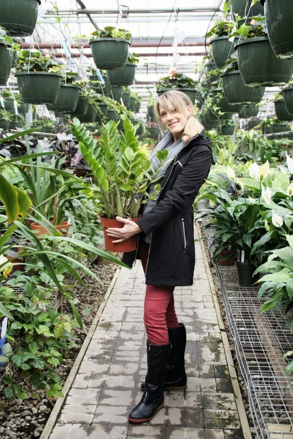 Why I'm Terrified of Buying Houseplants