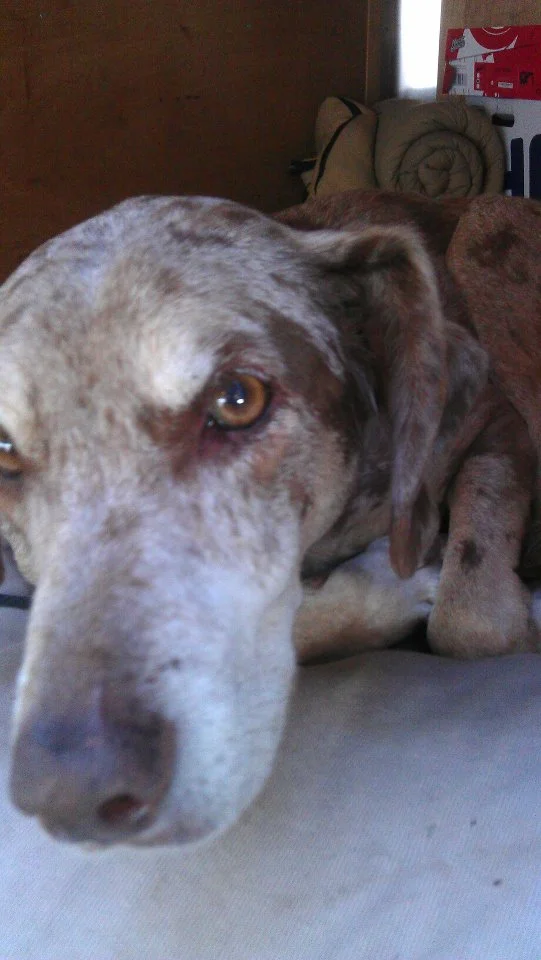 #88. Nobody Should Spend Christmas Alone.