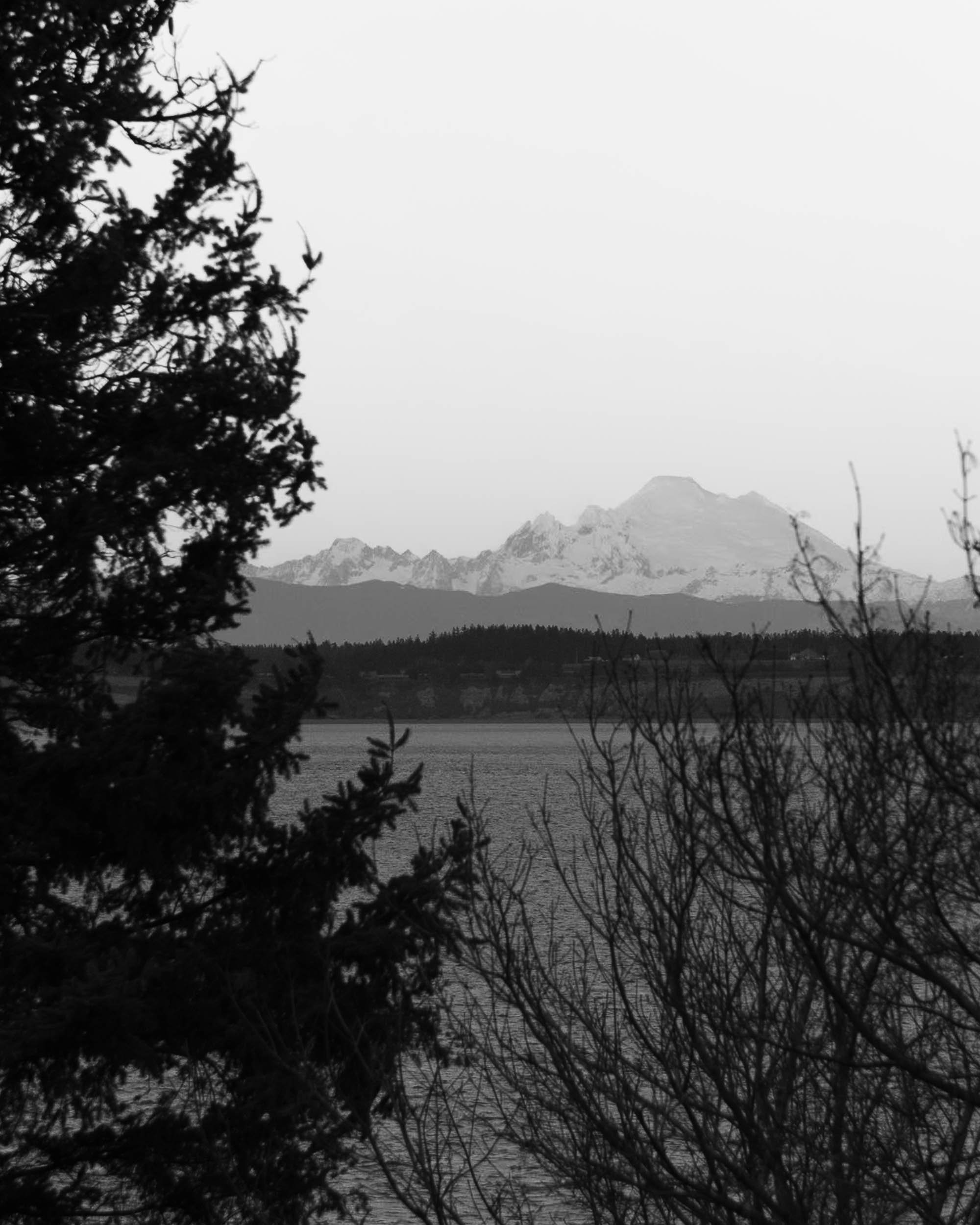 View of the Cascades from Fort Worden