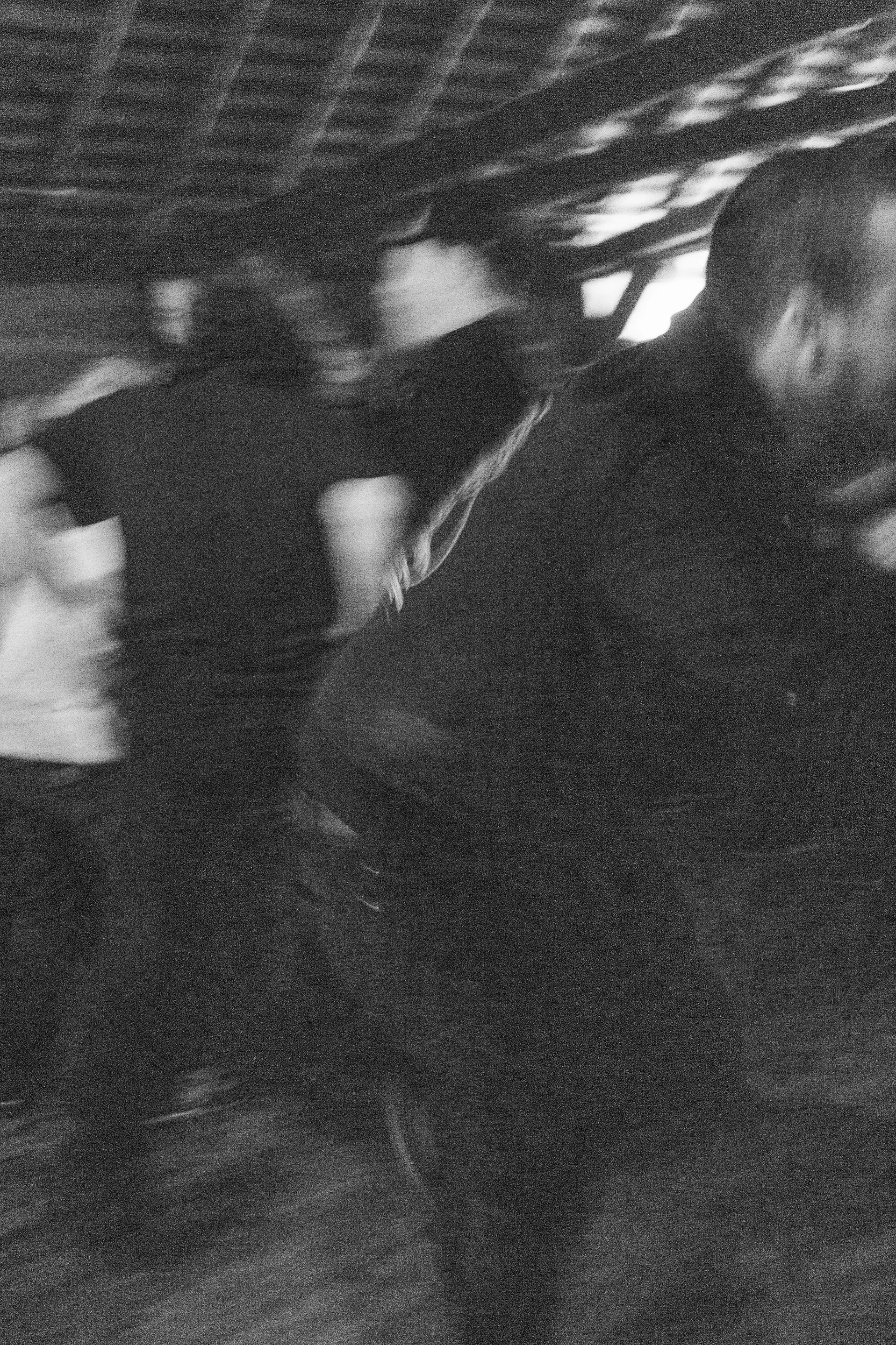 TRASHFECTA FINAL SHOW - squarespace-38.jpg