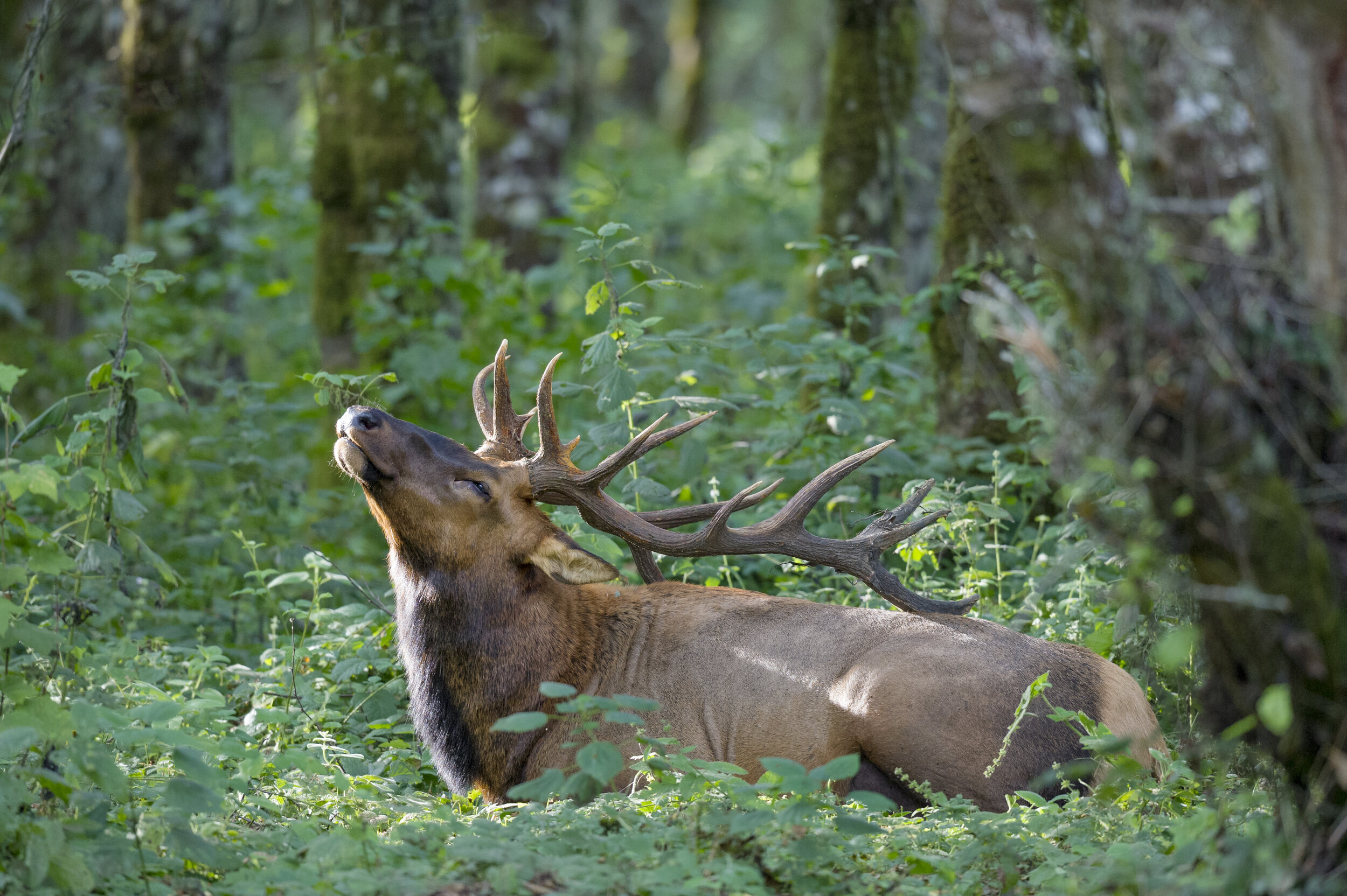 Over 400 Acres Protected