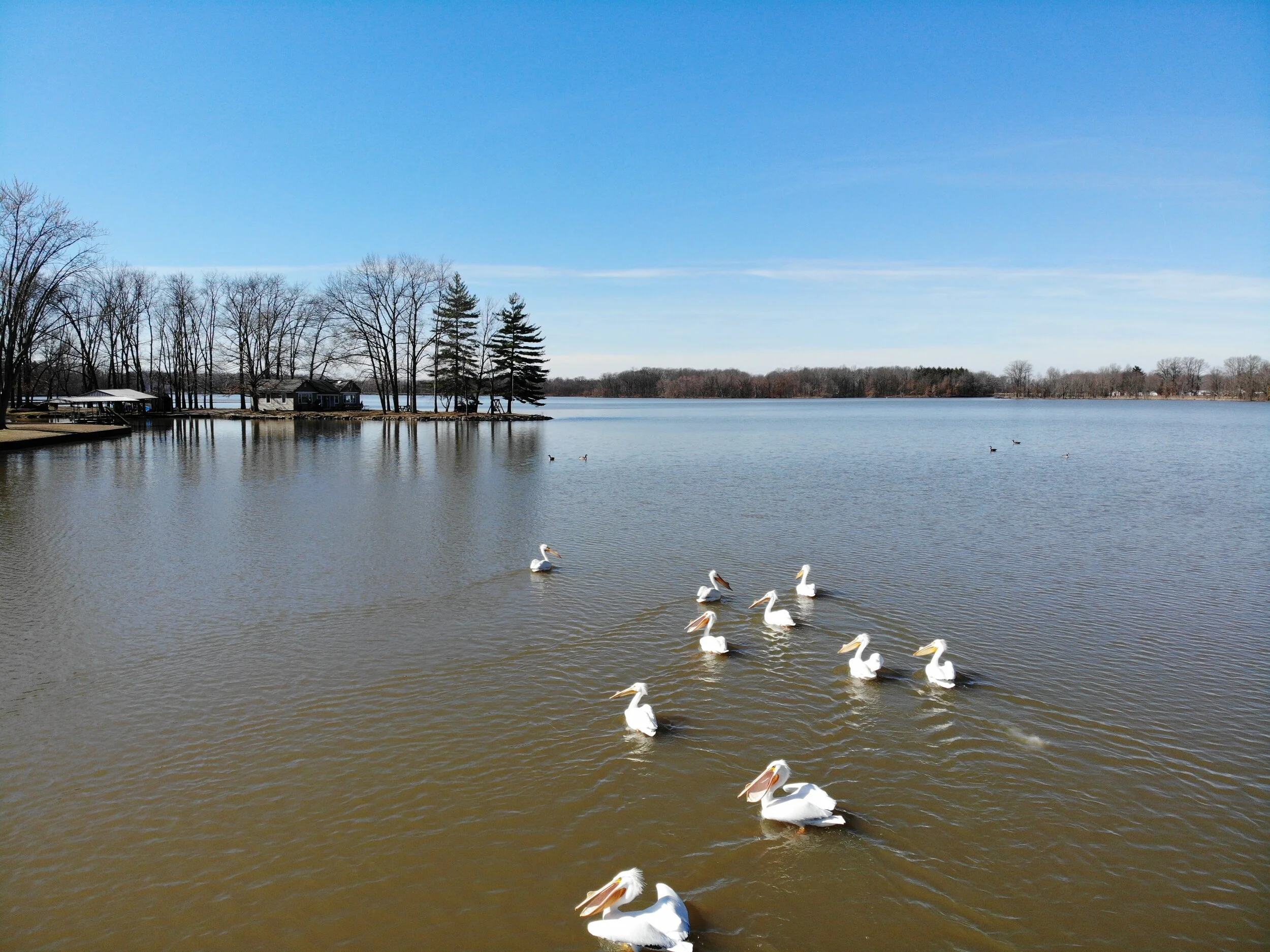 DJI_0084.JPG