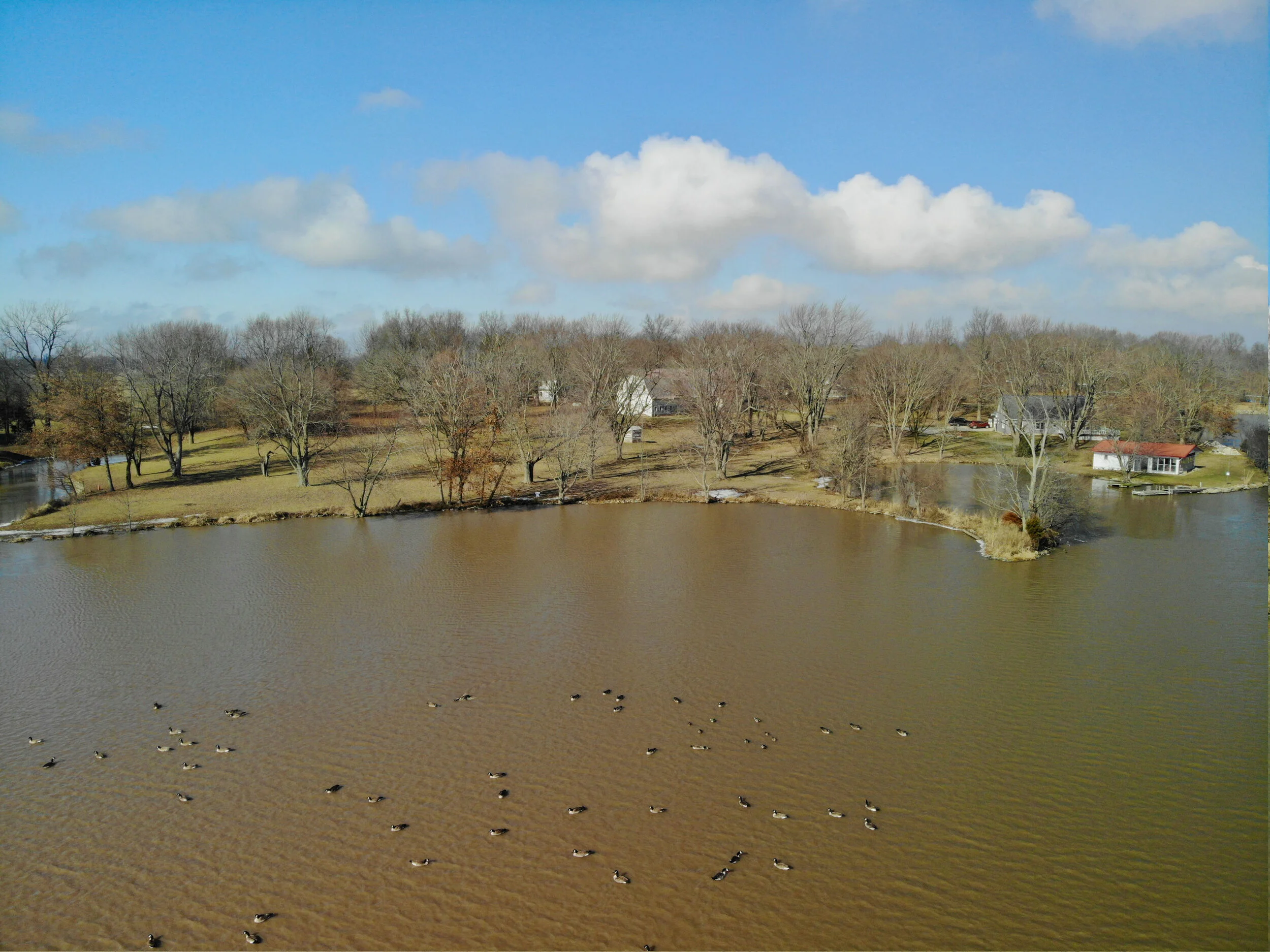 Joni Lake Acreage4.jpg