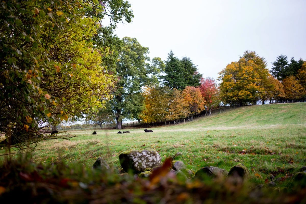 2019-03-19_0126.jpg