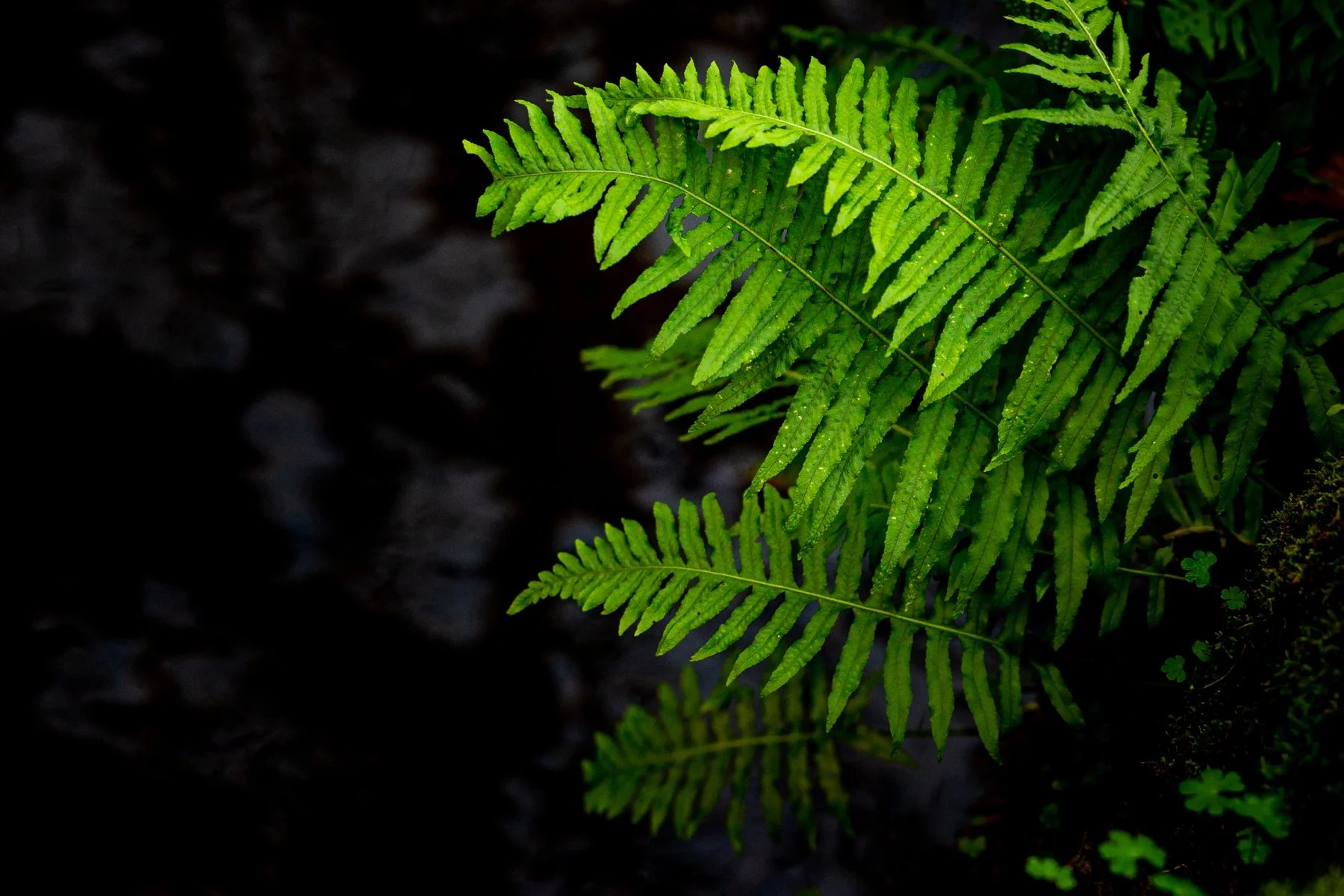 2022-01-23_0012.jpg