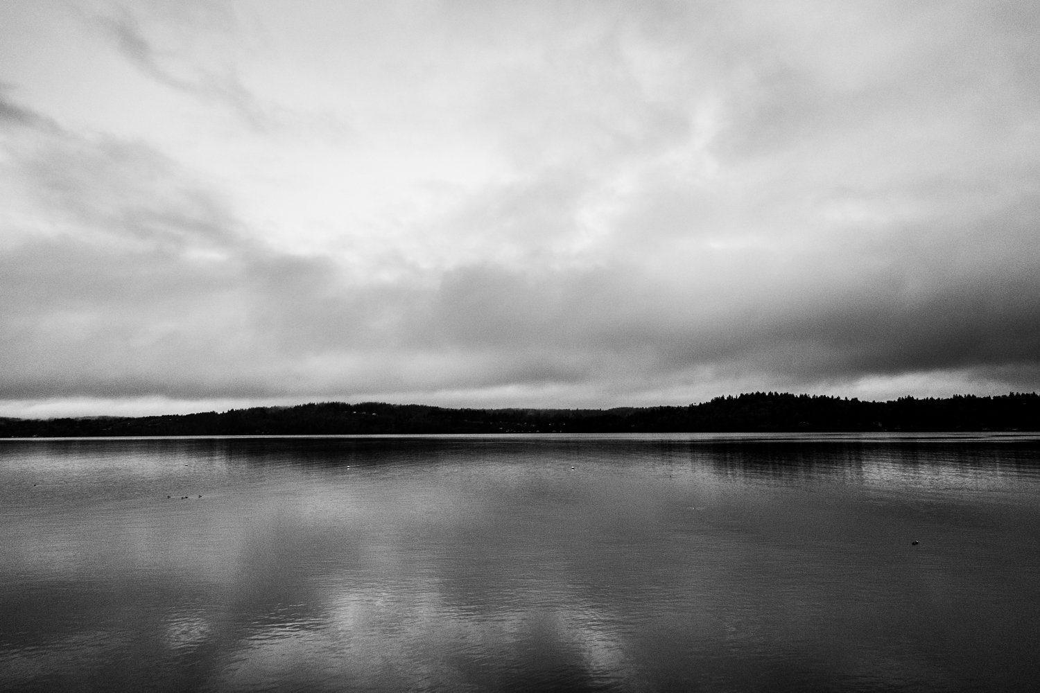 2025-06-30_0001.jpg