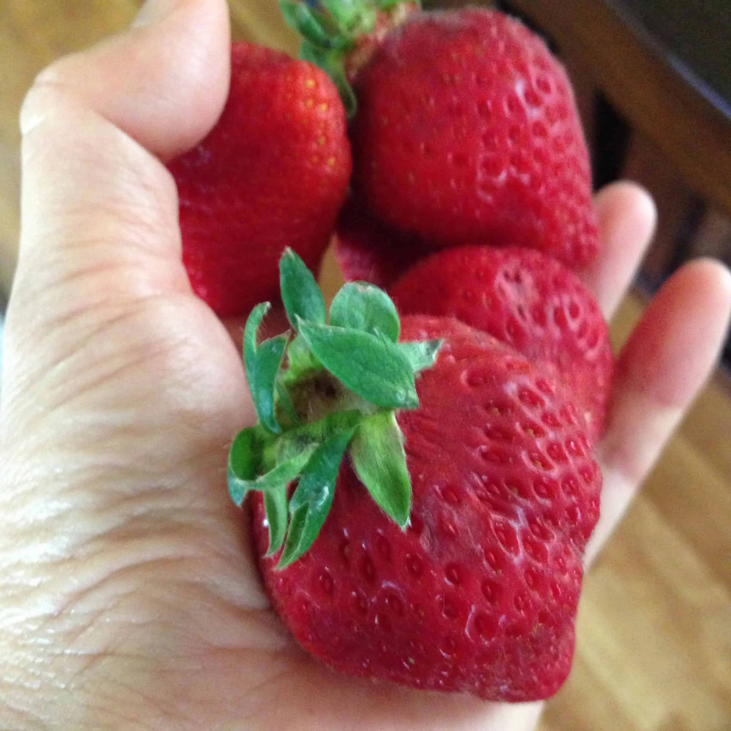 Plant - Based Whole Foods for Better Health