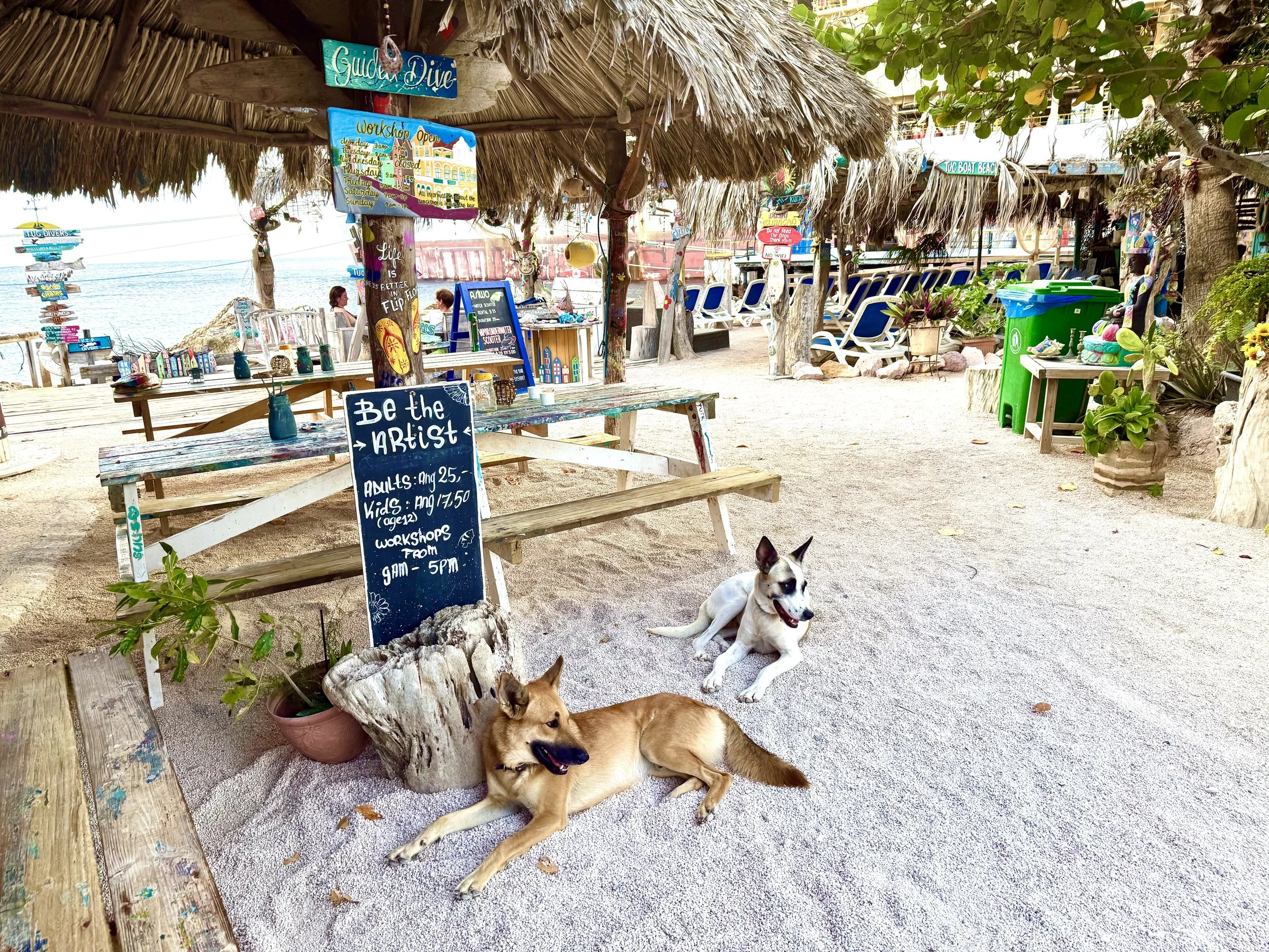 Dogs at Tugboat Beach Curacao
