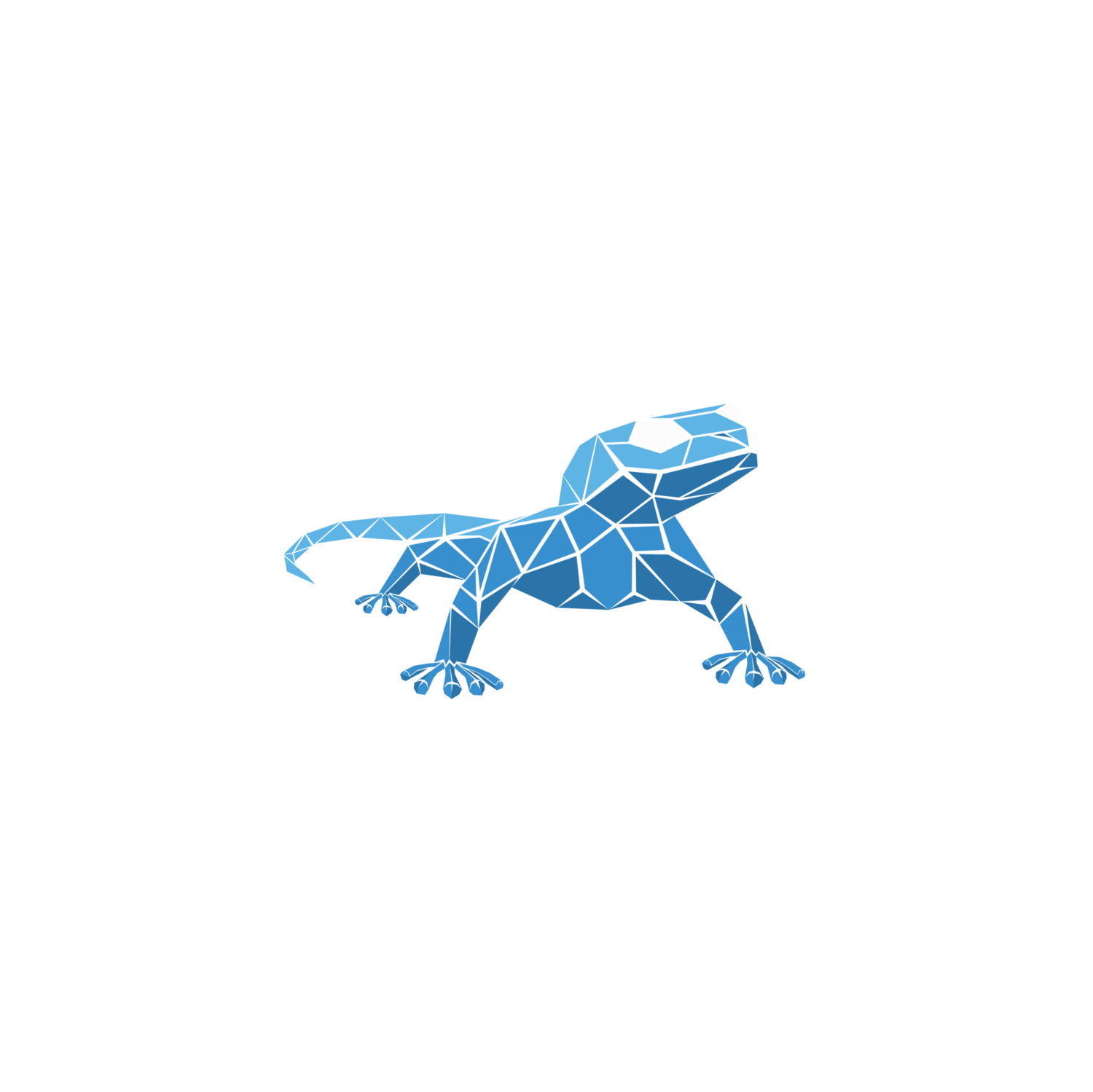 GECKO CLIMBING GYM
