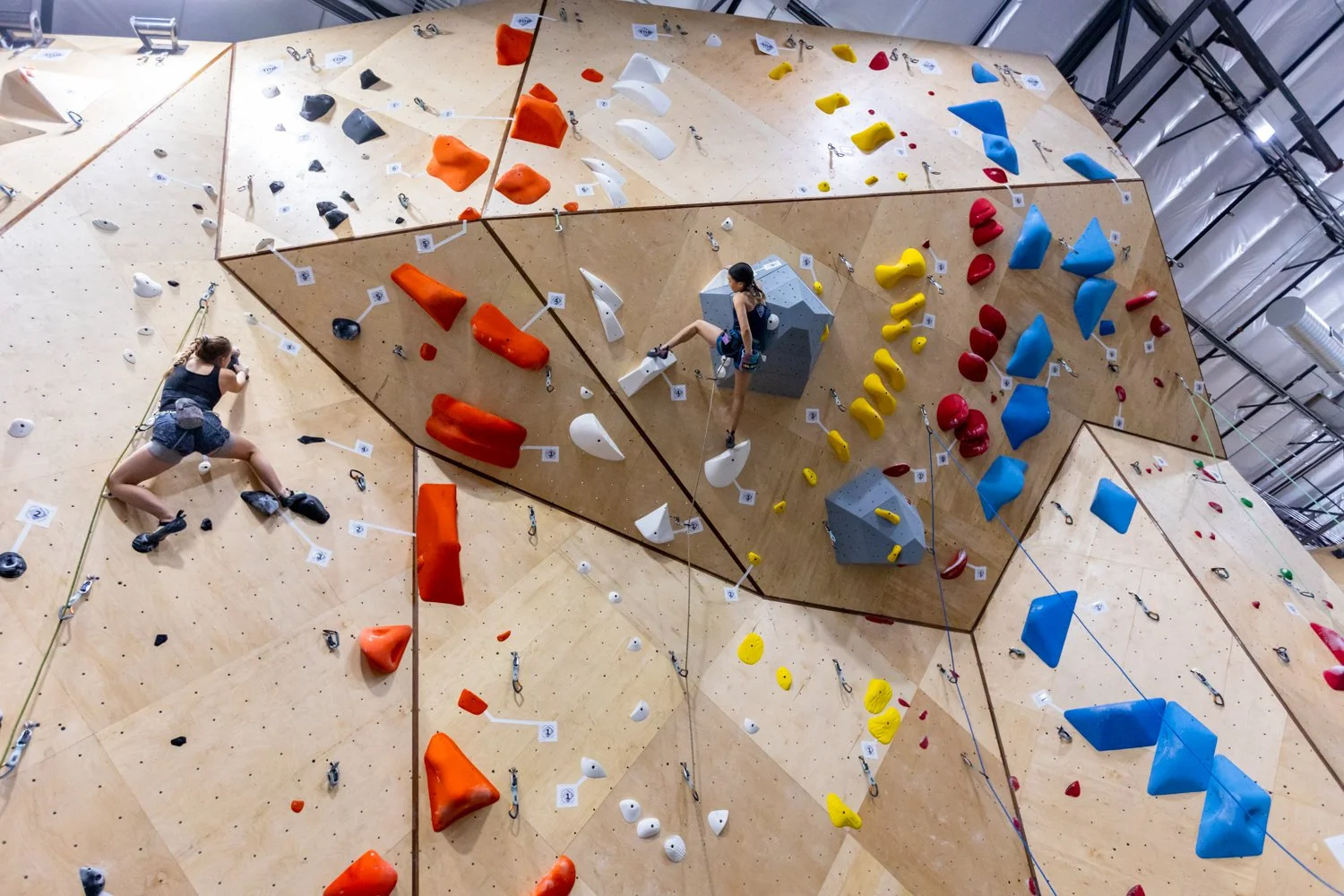 GeckoClimbingComp_SocialWeb-52.jpg