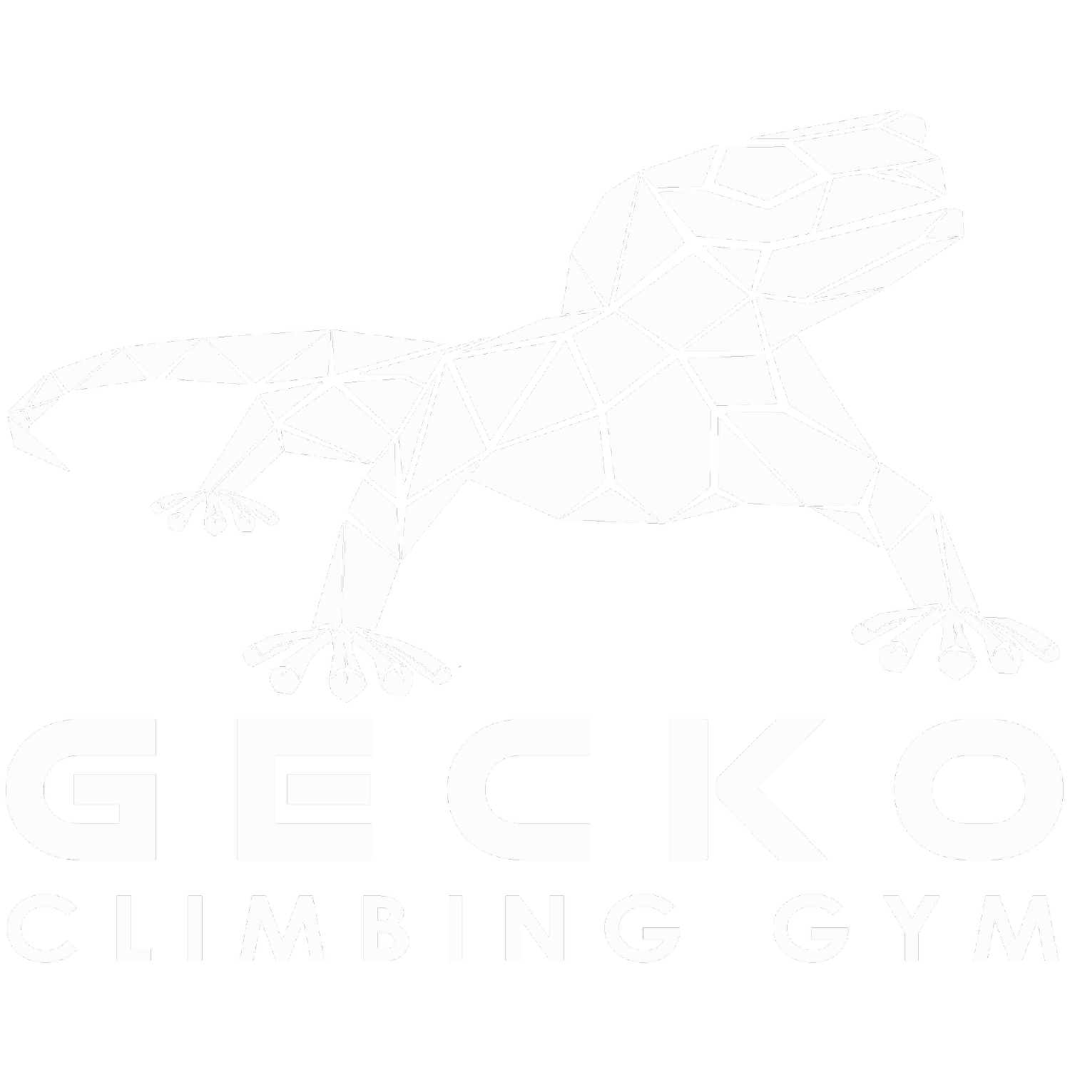 GECKO CLIMBING GYM