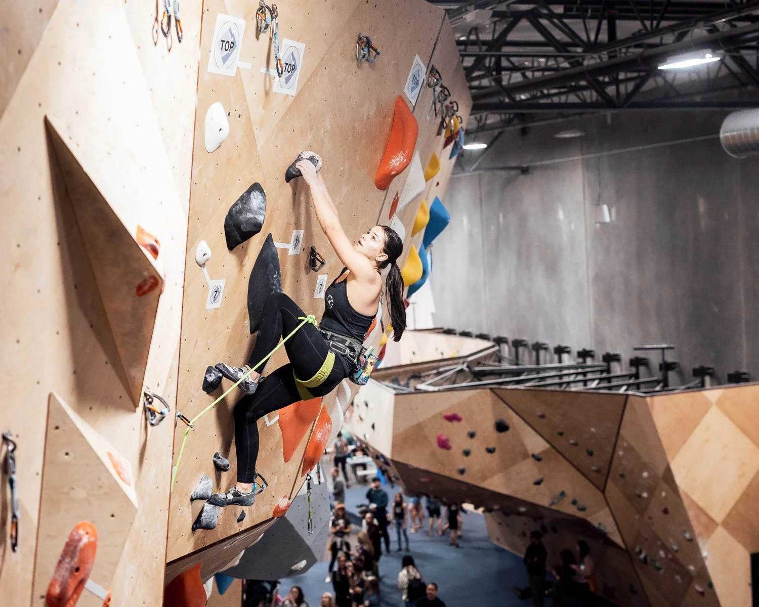 GeckoClimbingComp_SocialWeb-45.jpg