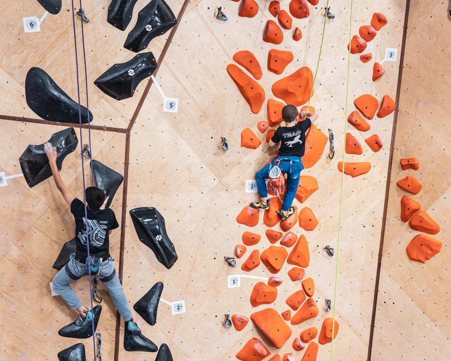GeckoClimbingComp_SocialWeb-83.jpg
