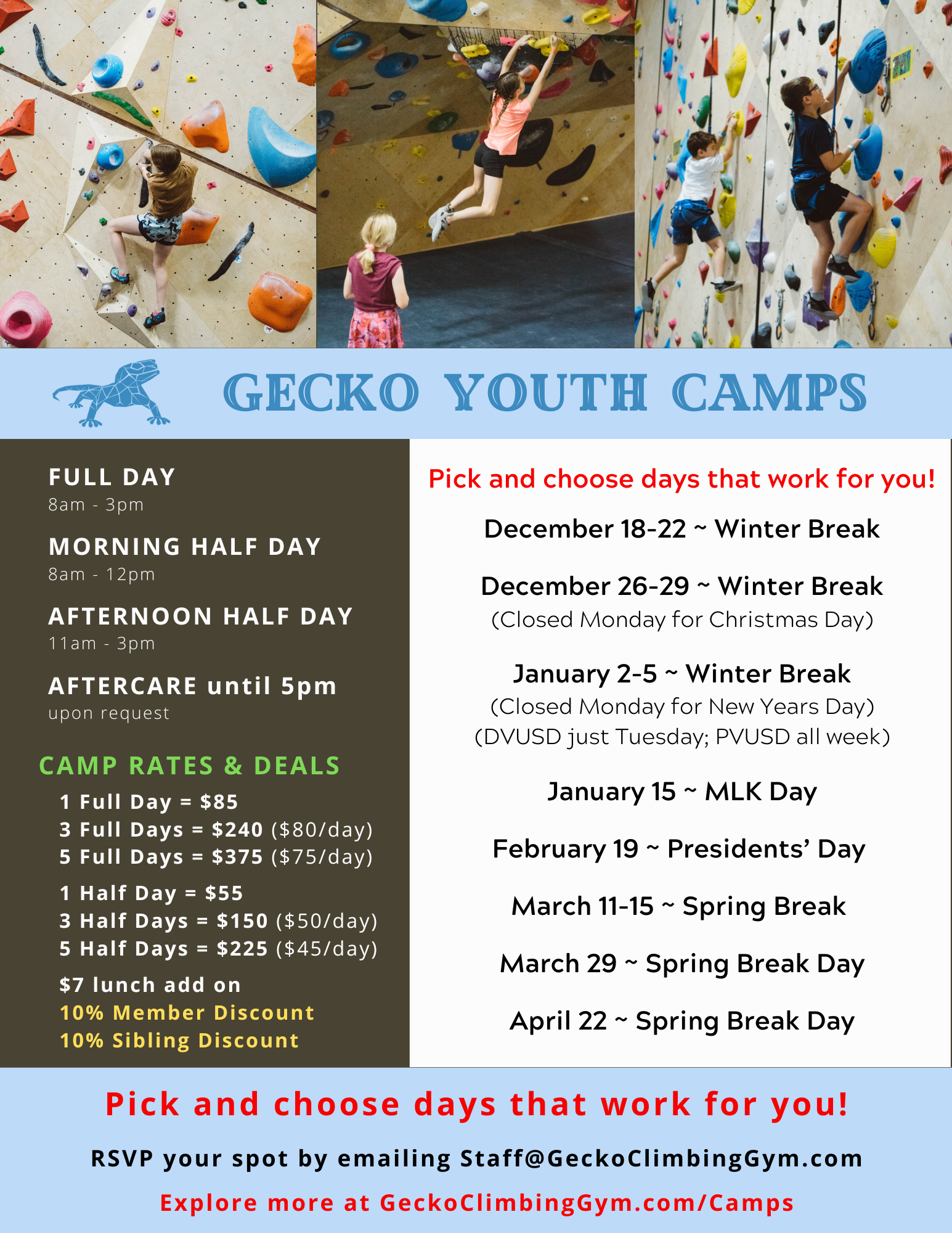 Gecko+Youth+Camps+%288.5+%C3%97+11+in%29