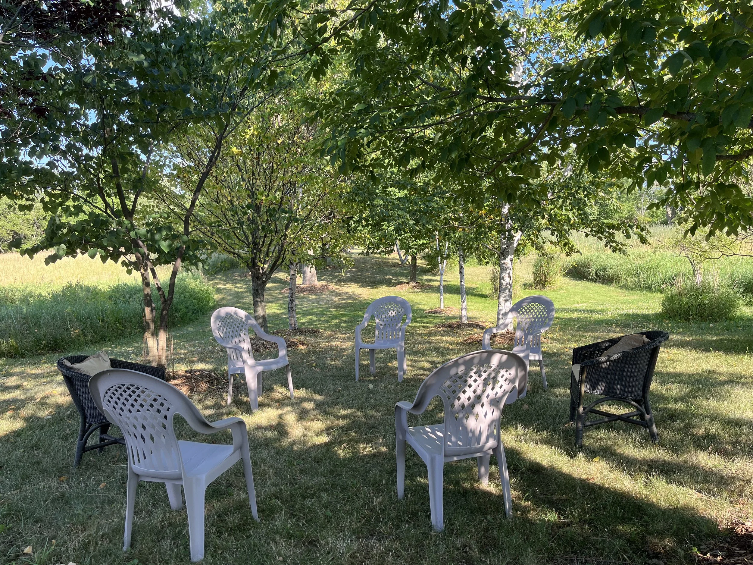 CANCELLED - Refresher: "Under the Trees" 