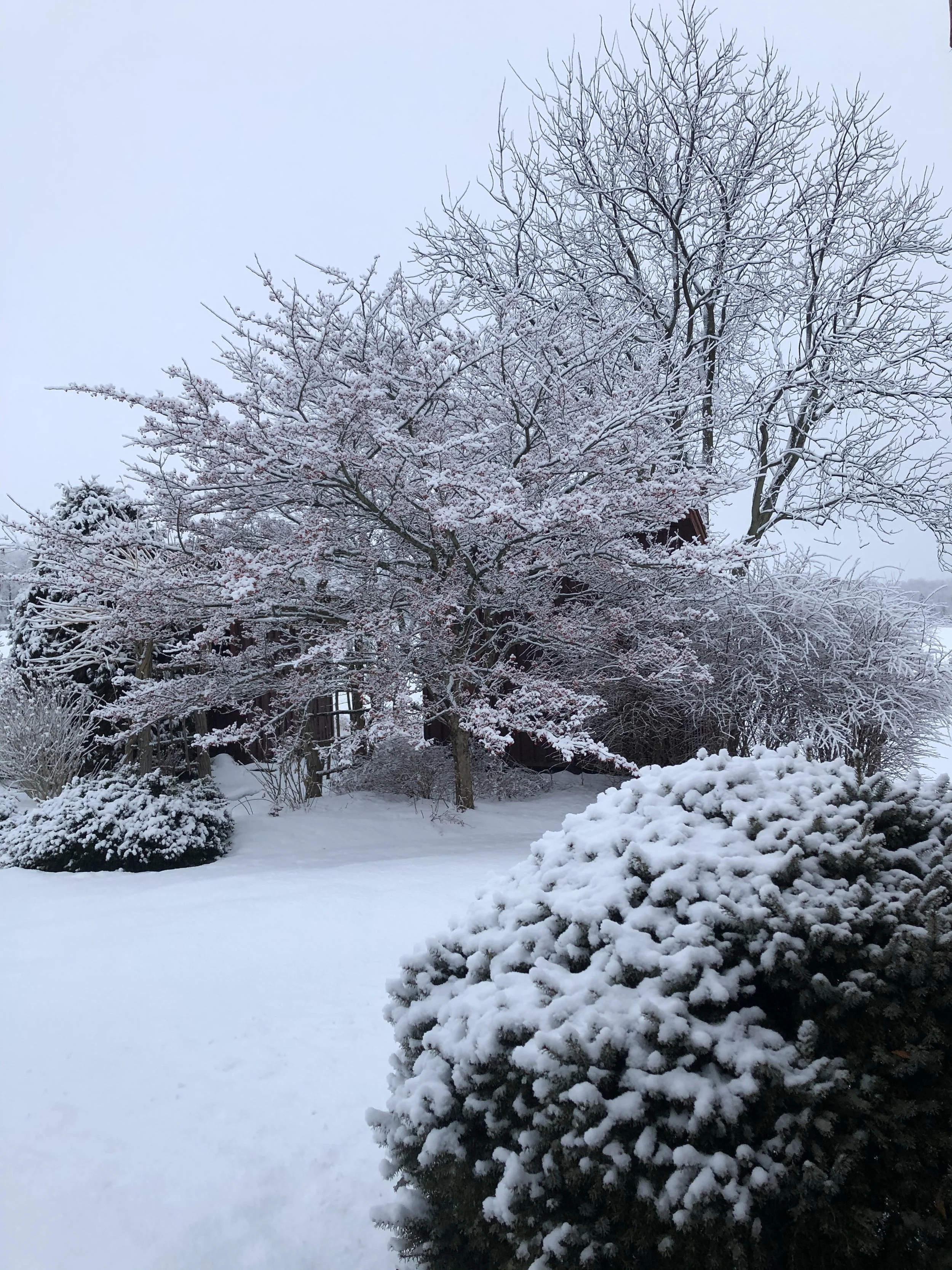 "Where The Two Worlds Touch"  Meditation and The Poetry of Rumi, Hafiz and Kabir