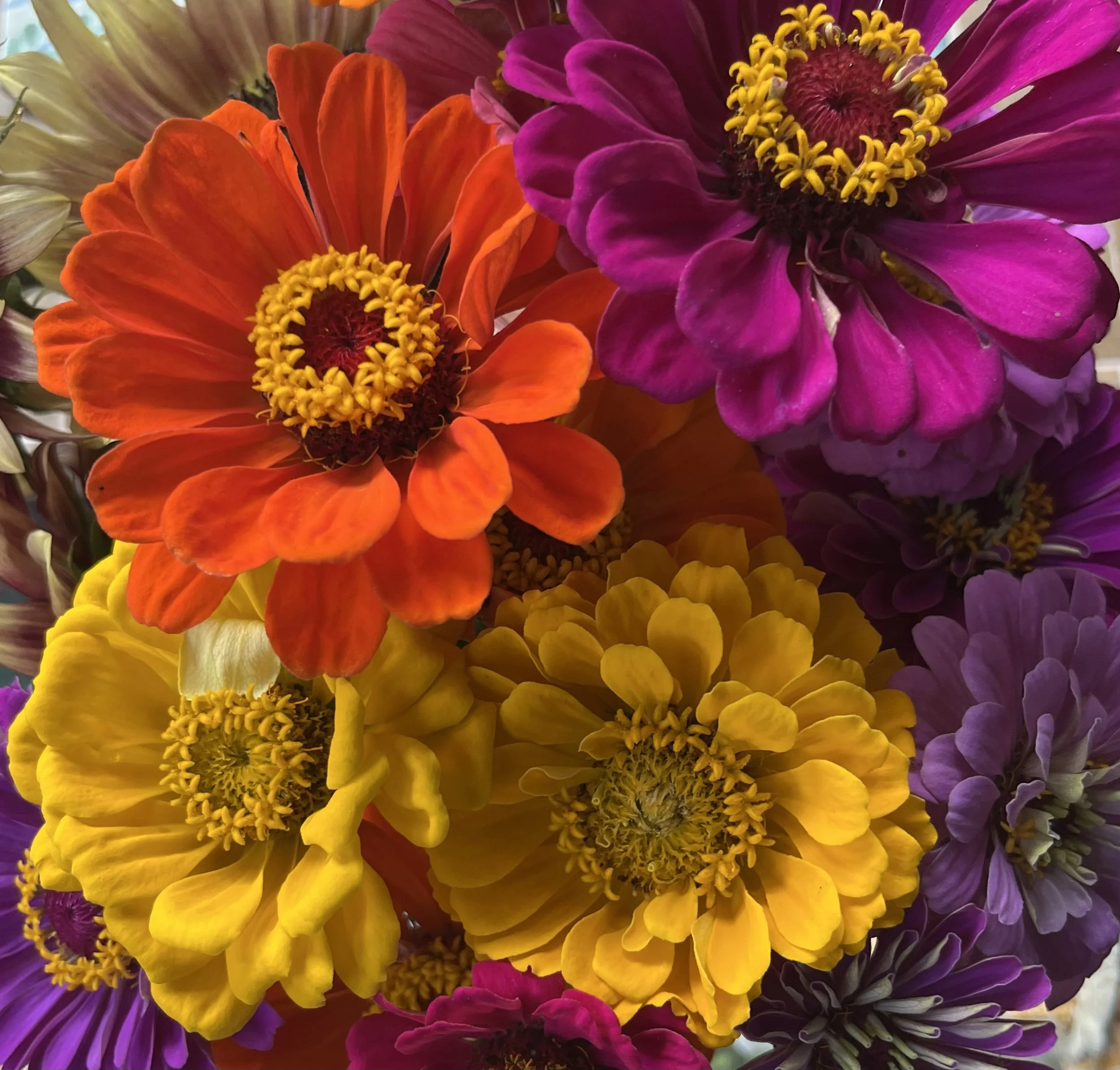 Embodied Wakefulness - Living in Connection with Mind, Body and Heart