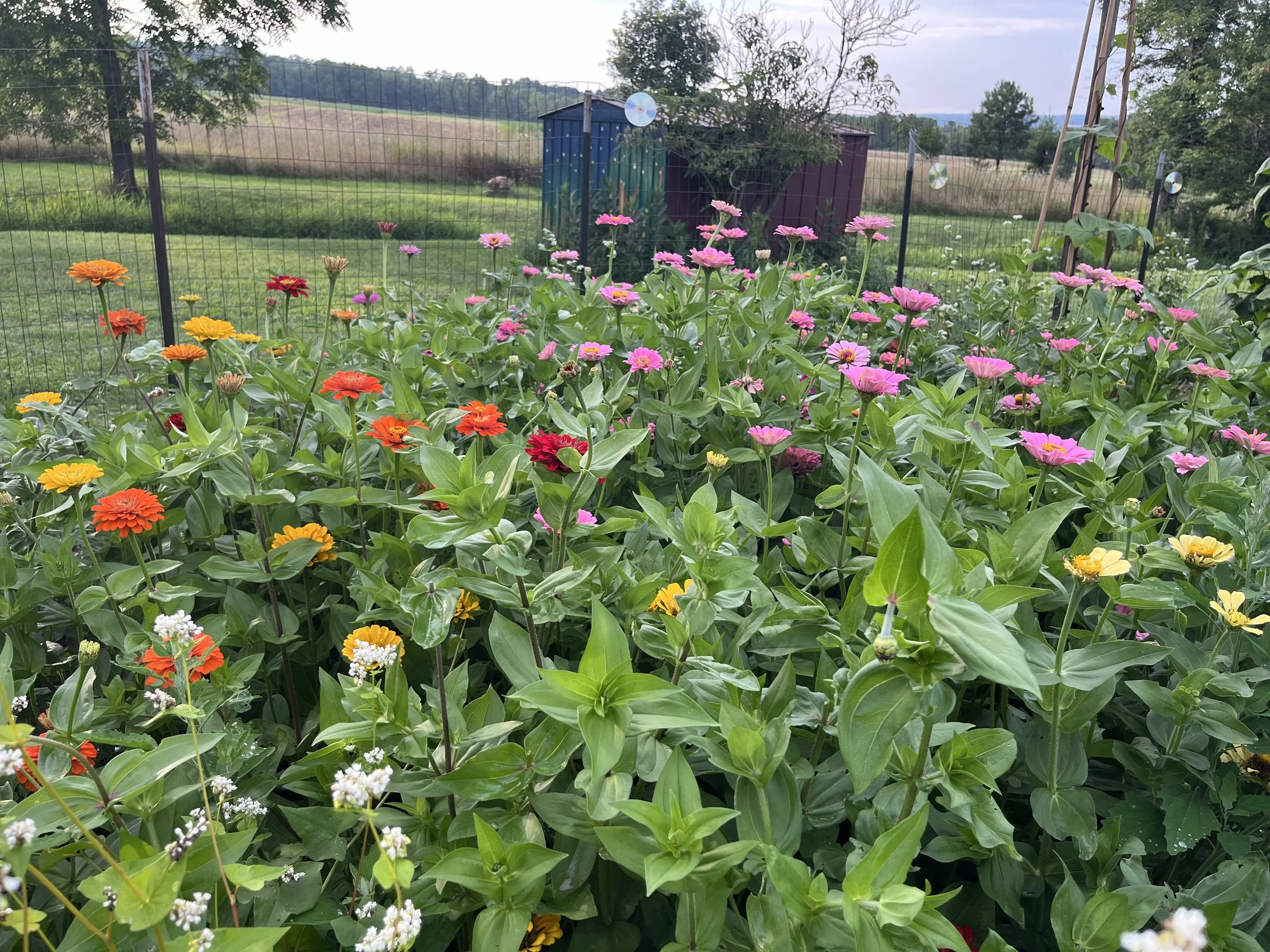 Mindfulness Day of Practice