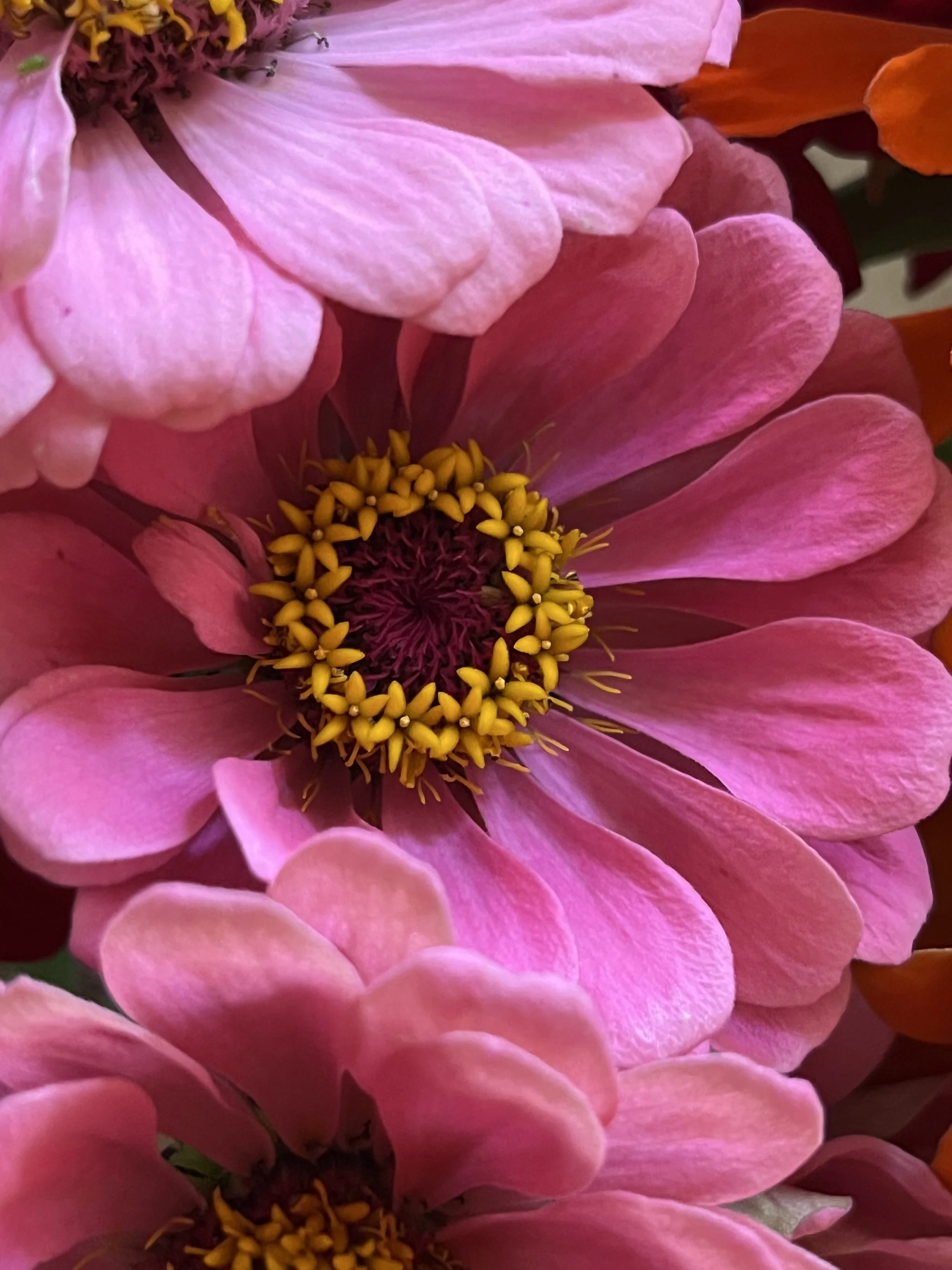 Monthly Meditation Classes for those with loved ones who struggle with addiction.