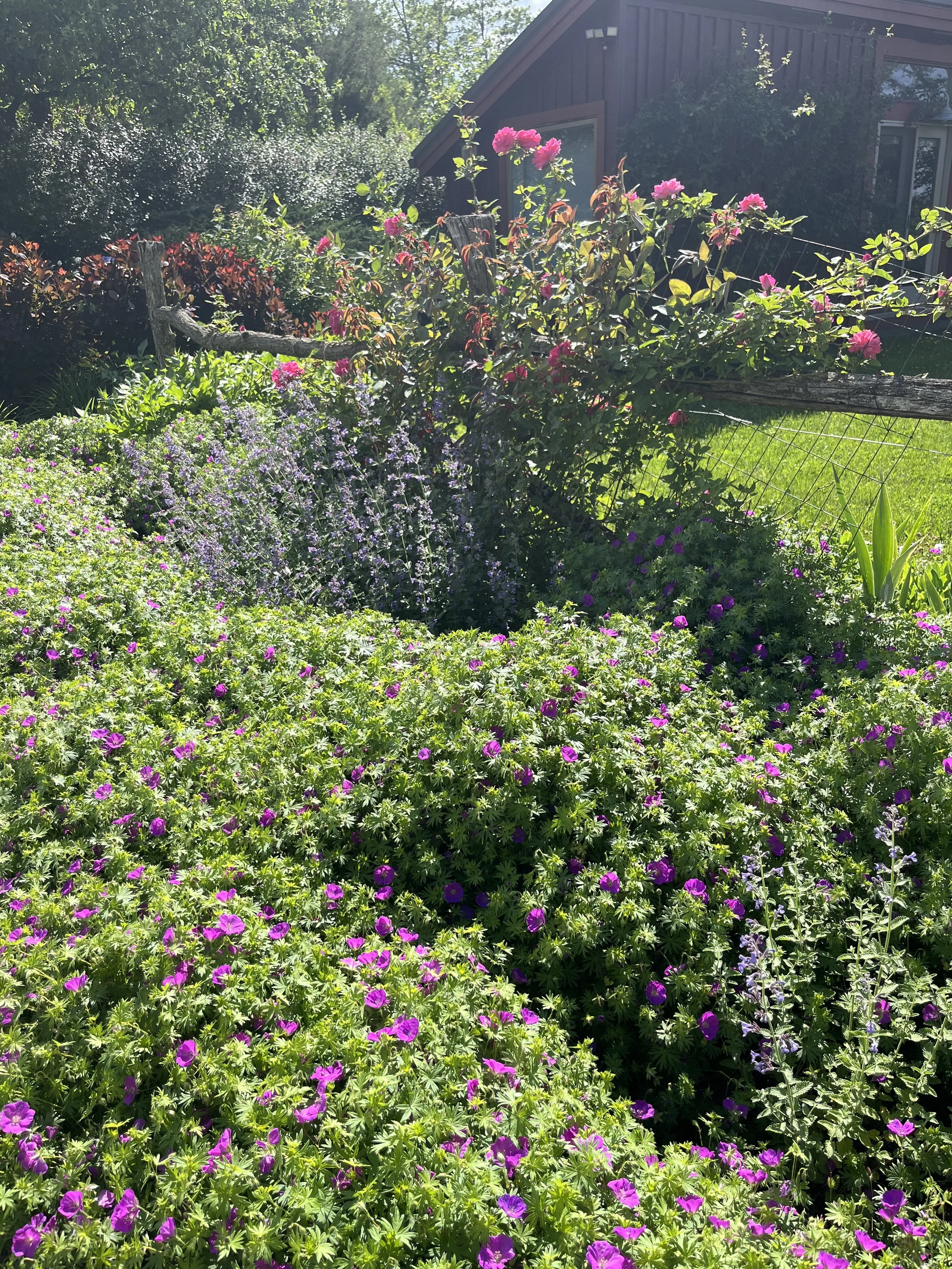 Mindfulness Retreat Day at Firefly Farm