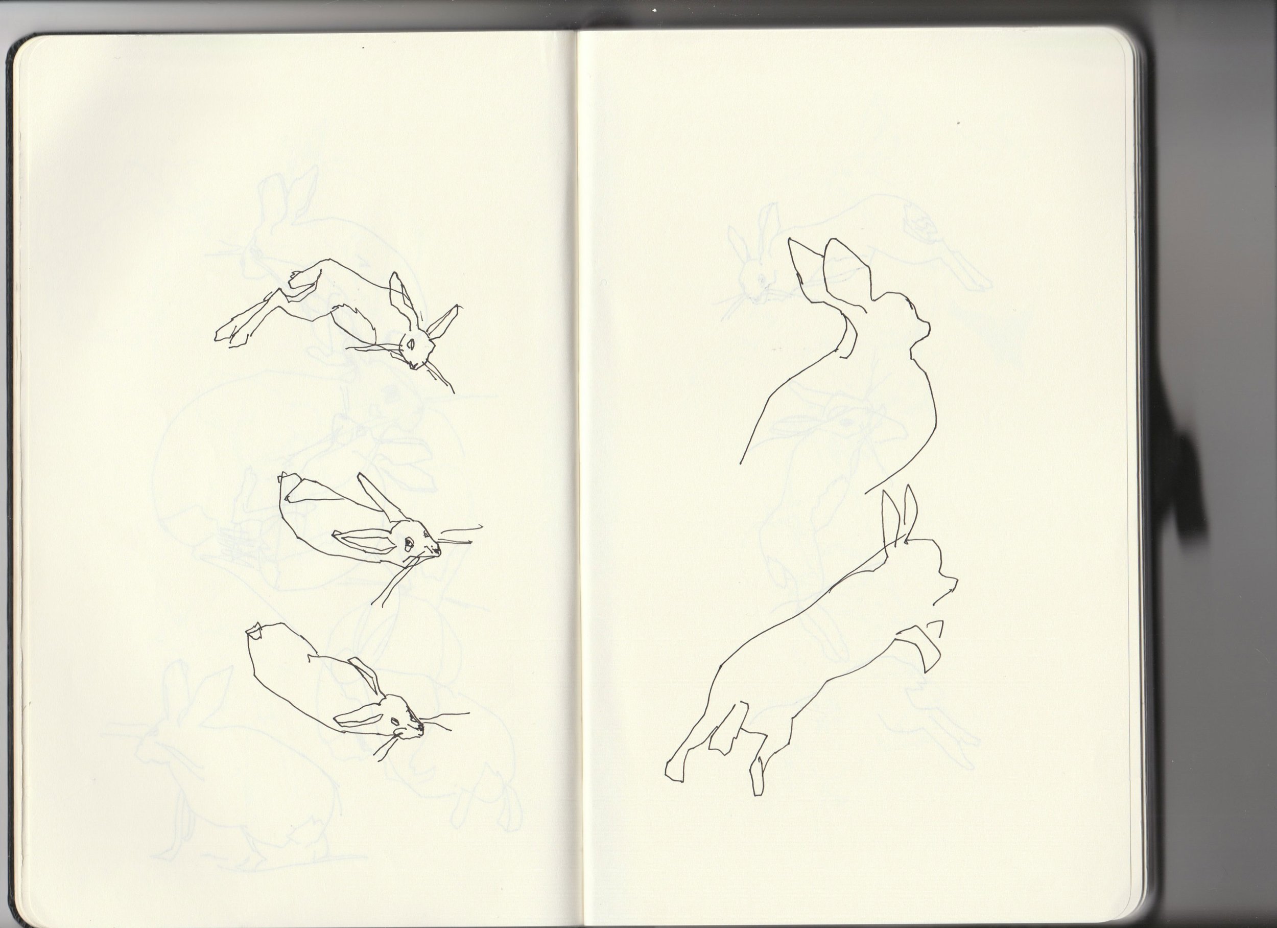 Sketchbook-archive-3-5-hares