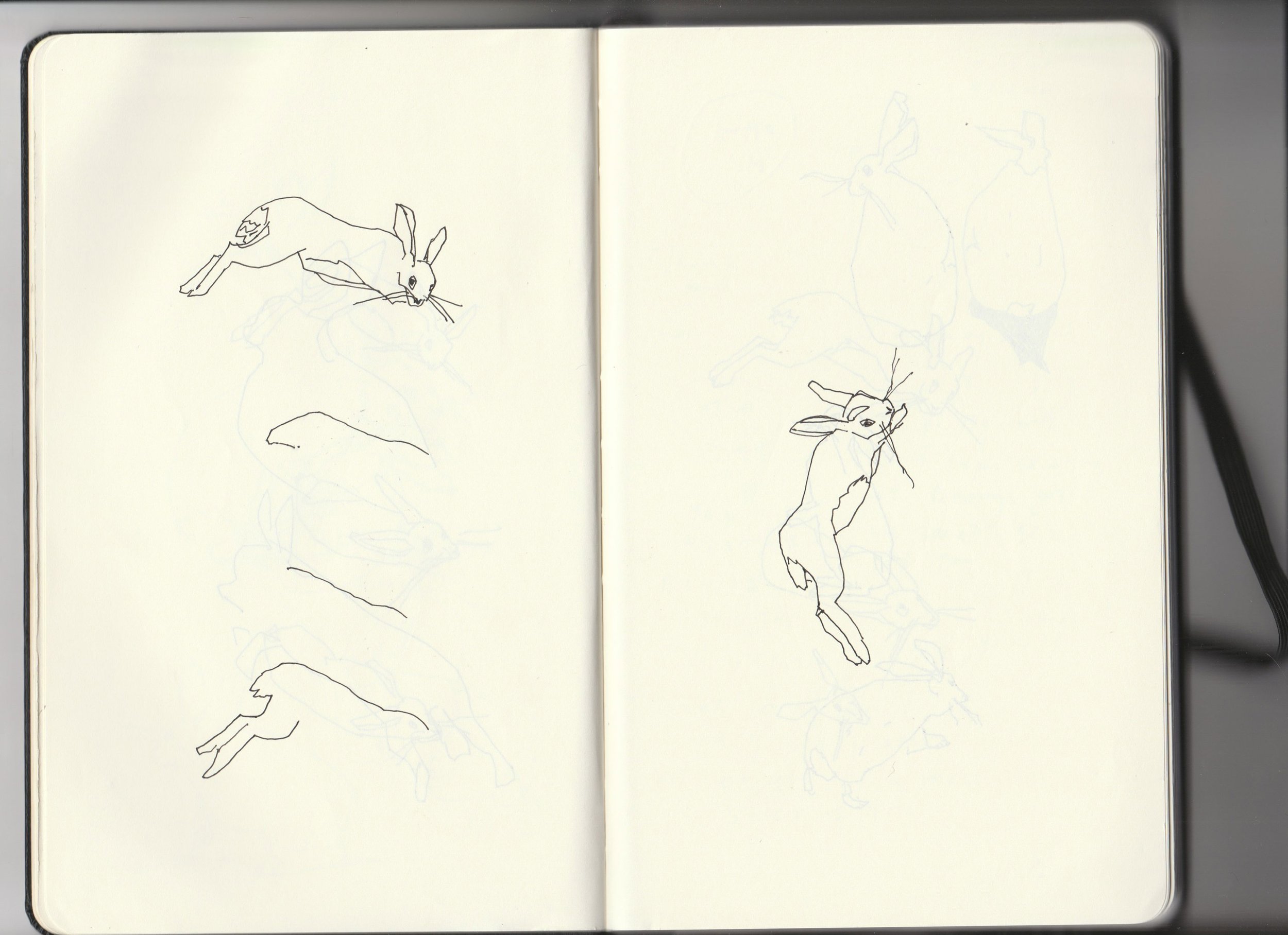 Sketchbook-archive-3-2-hares-lines