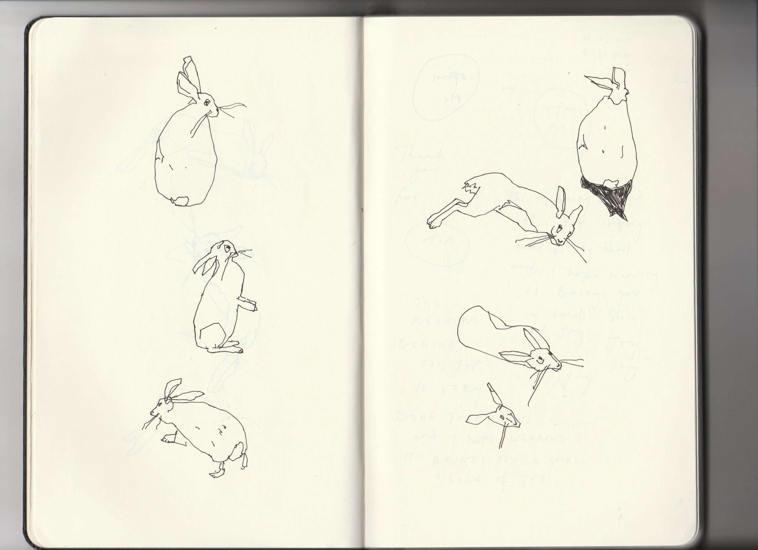 Sketchbook-archive-3-6-hares-and-head