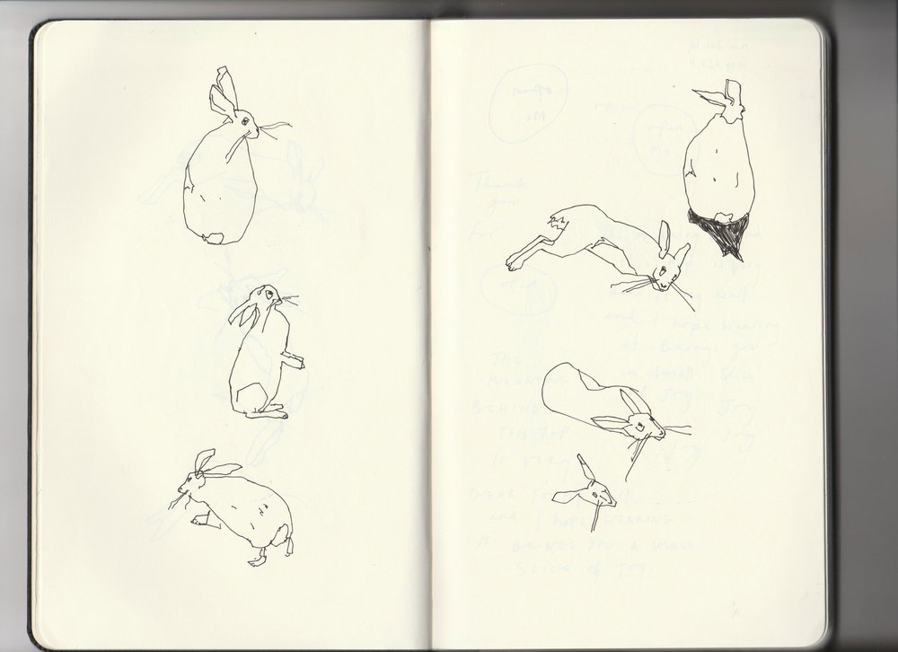 Sketchbook-archive-3-6-hares-and-head