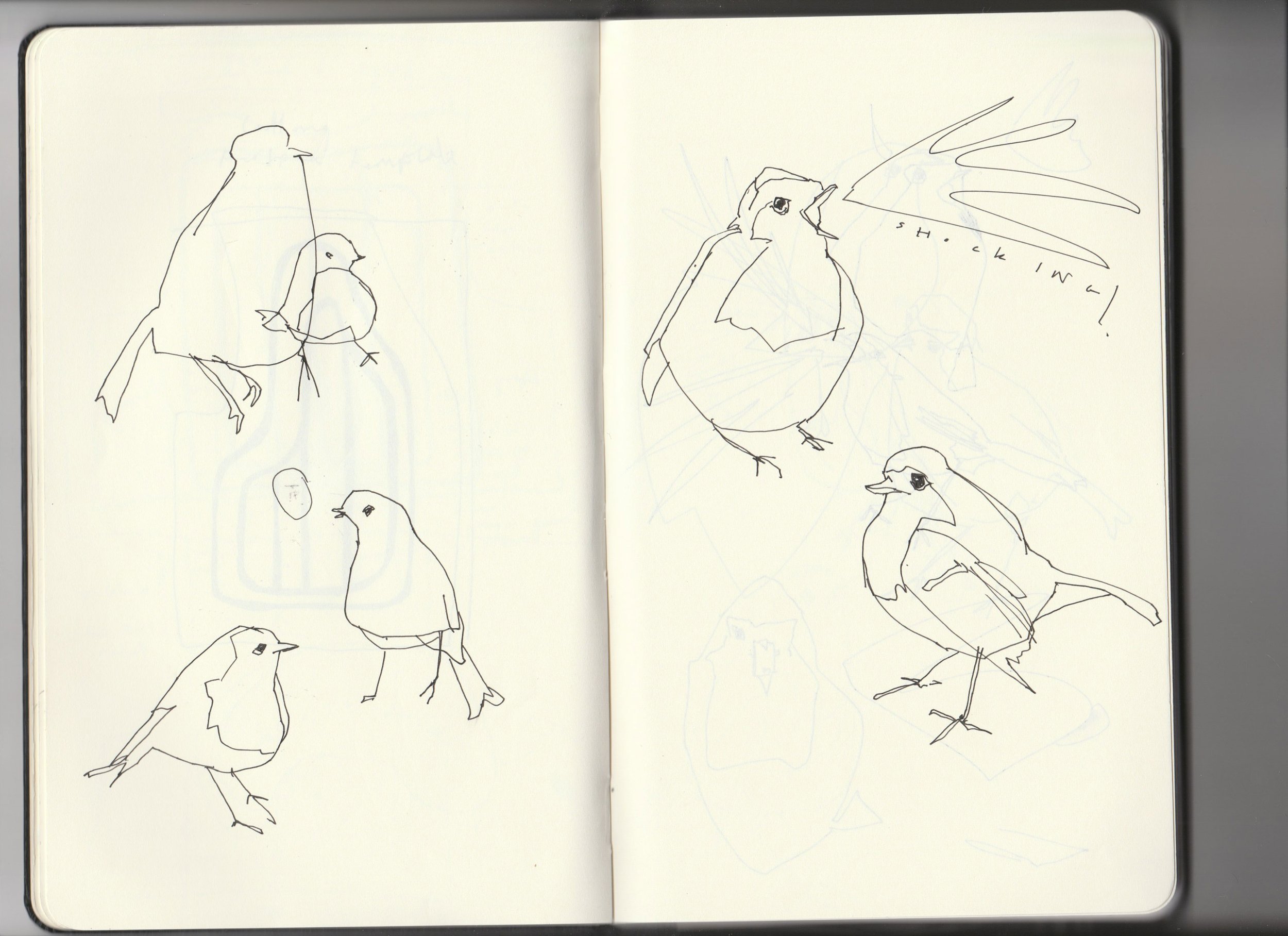 Sketchbook-archive-3-5-robins