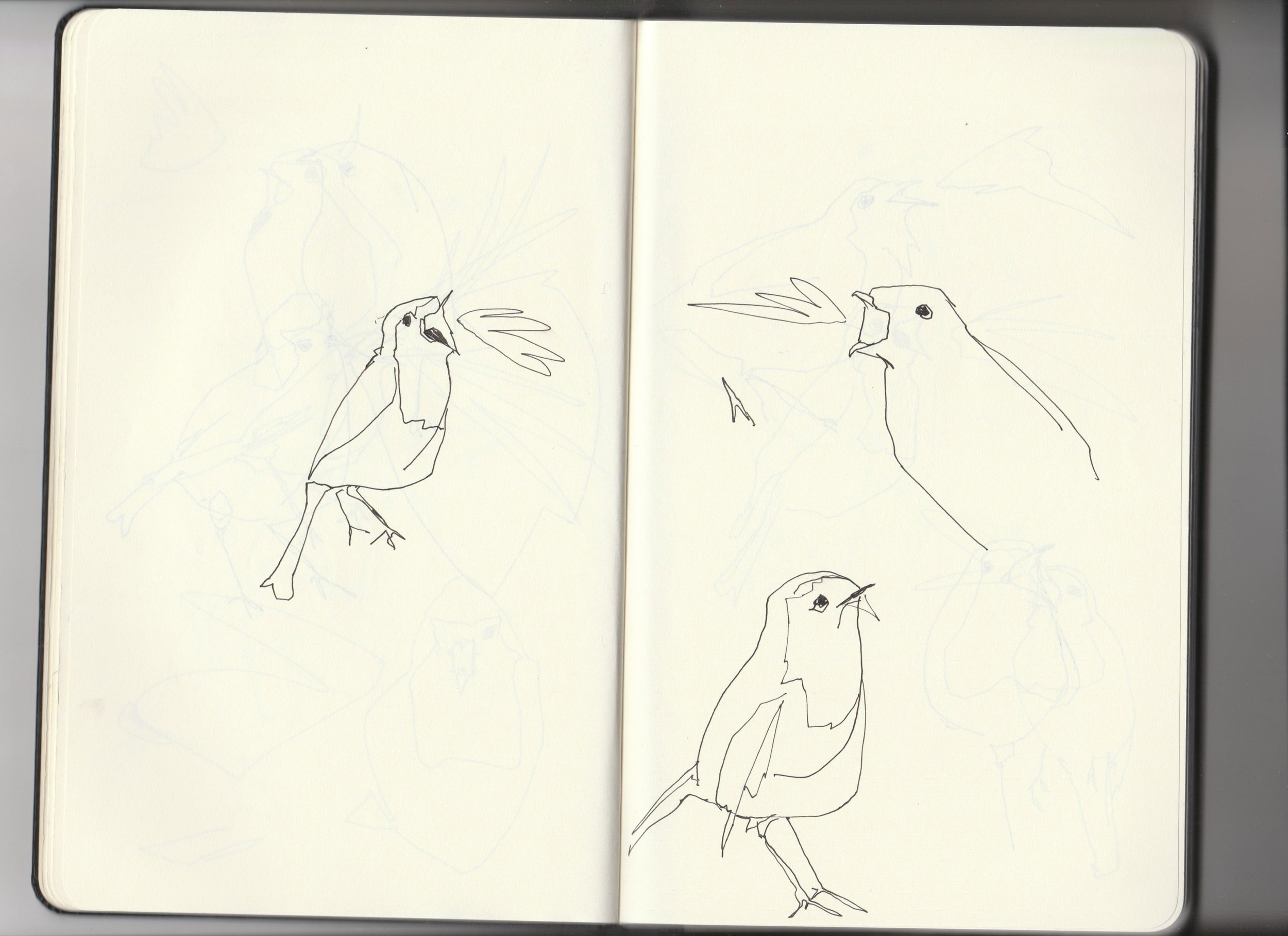 Sketchbook-archive-3-3-robins