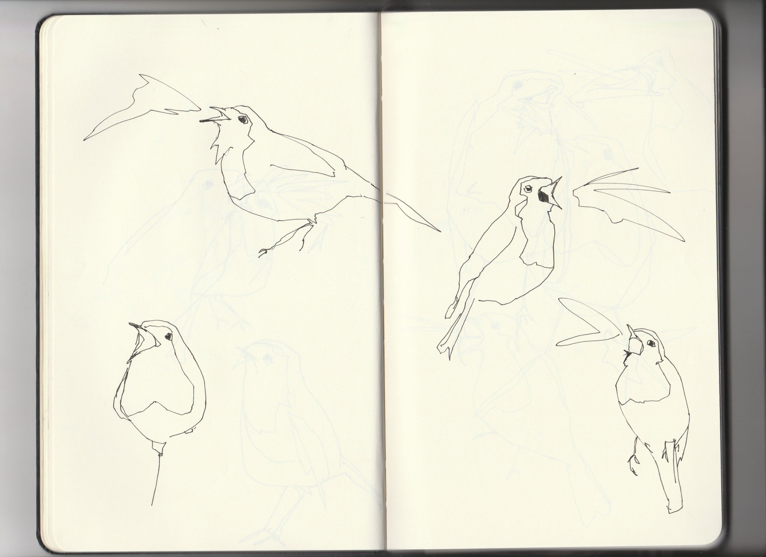 Sketchbook-archive-3-4-robins