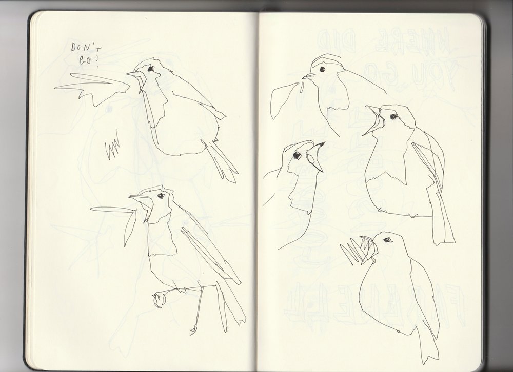 Sketchbook-archive-3-6-robins-squark