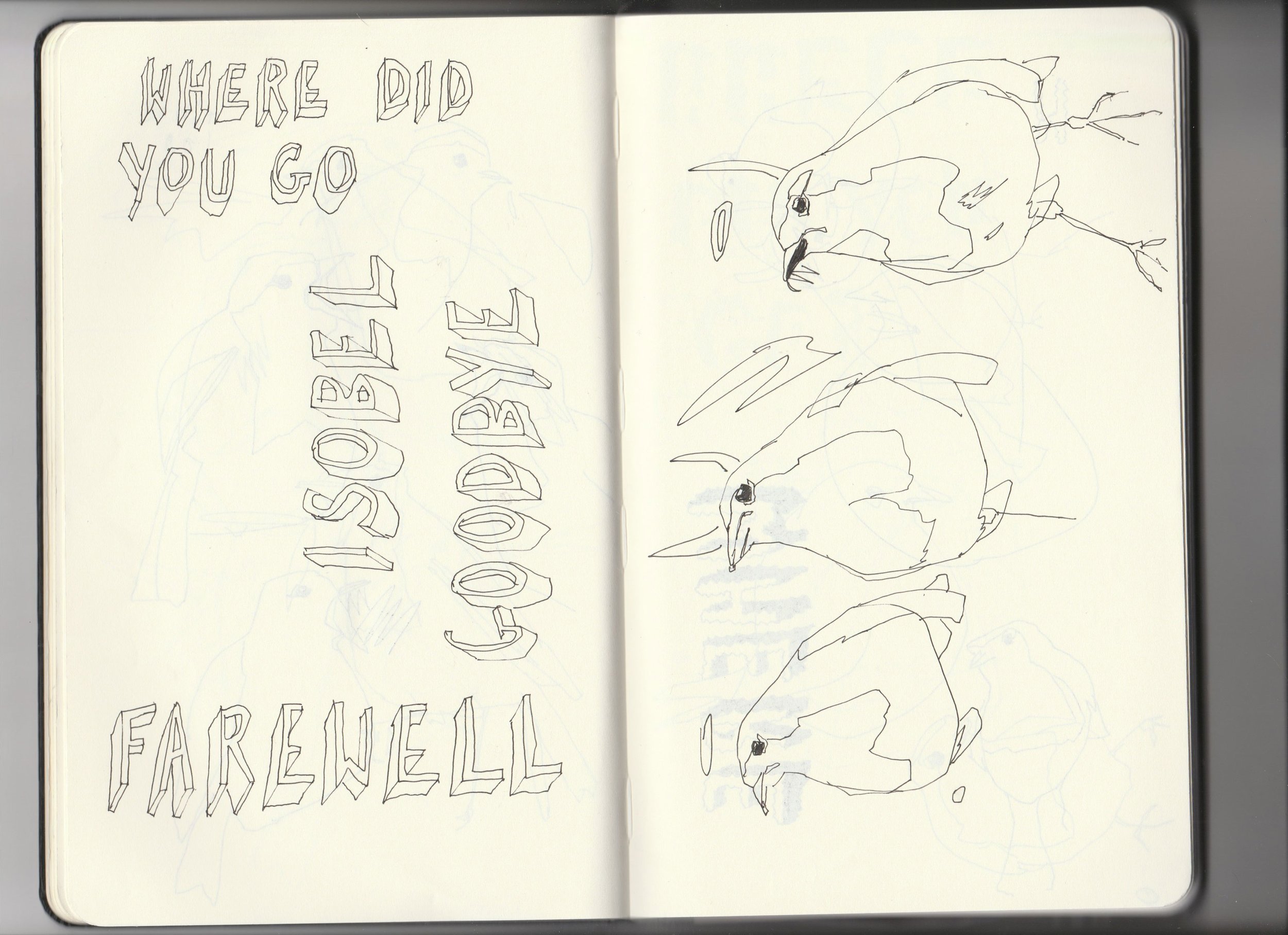 Sketchbook-archive-3-farwell-isobel-birds