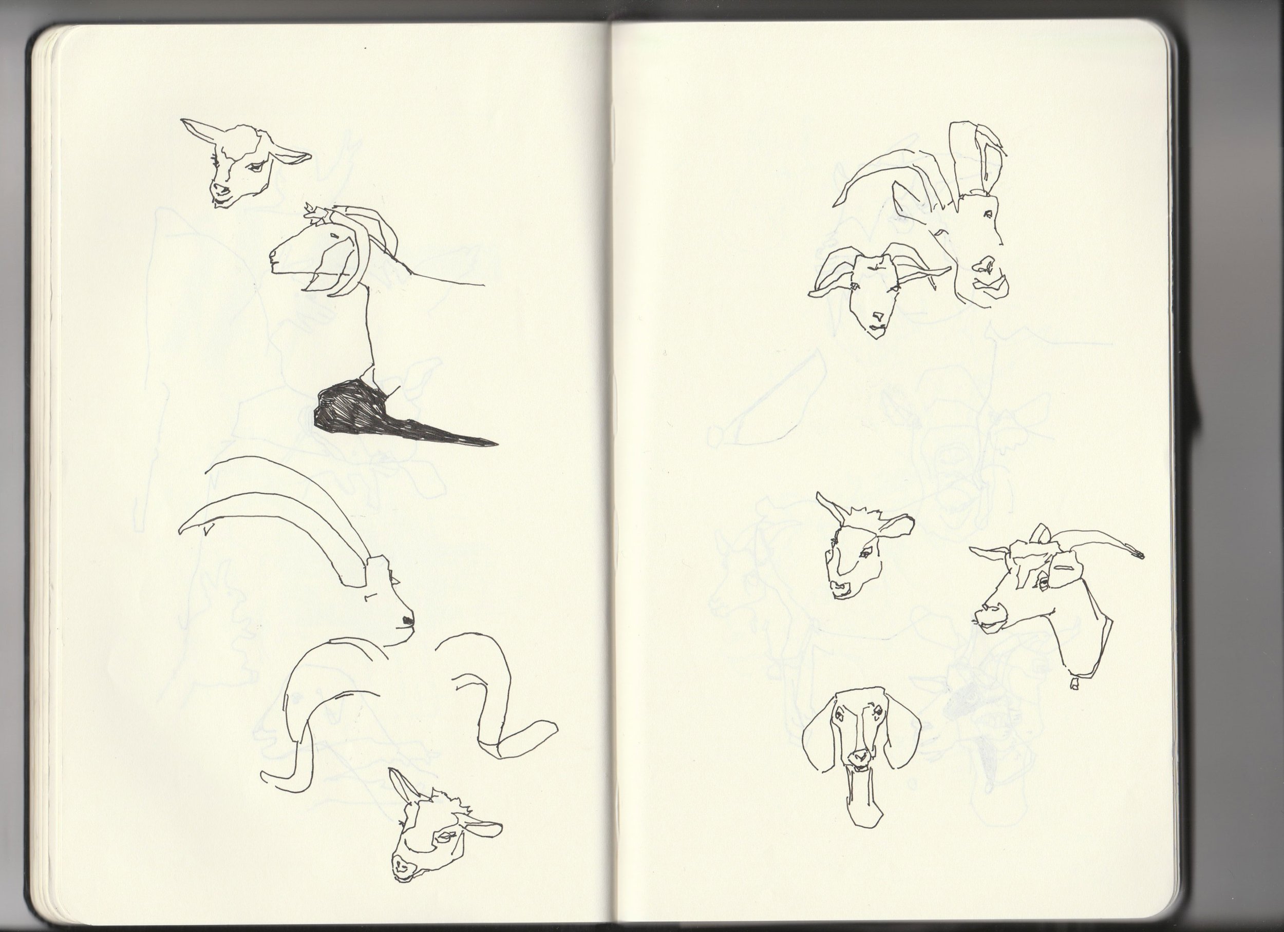 Sketchbook-archive-3-goat-horns