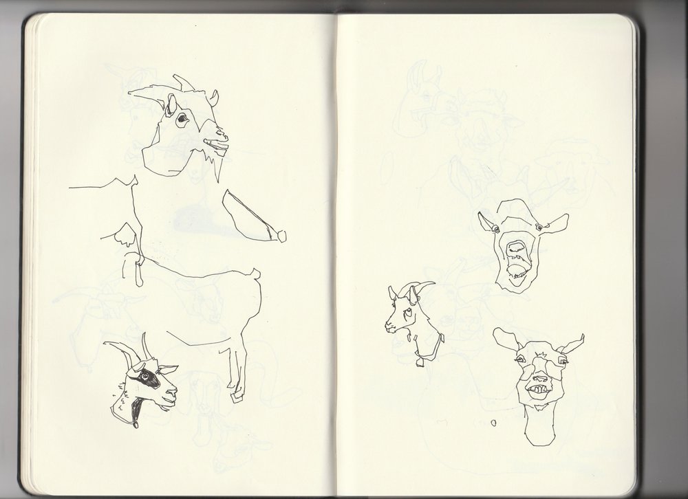 Sketchbook-archive-3-5-goats