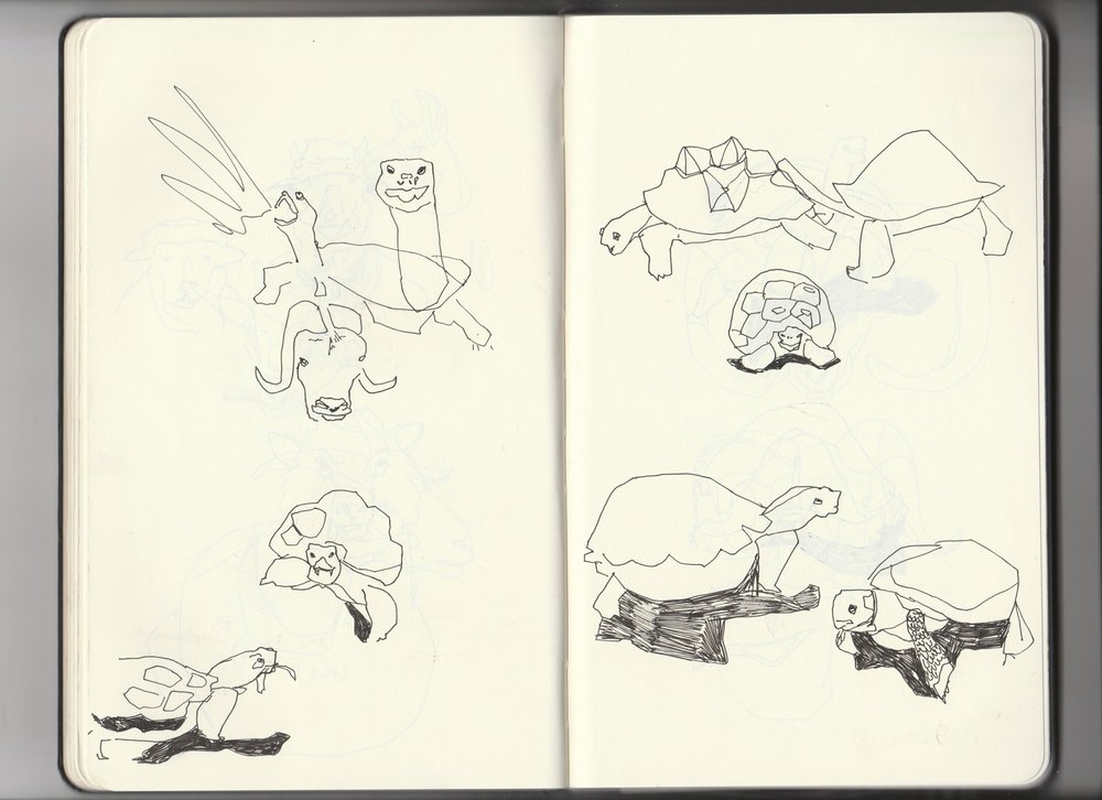 Sketchbook-archive-3-tortoise