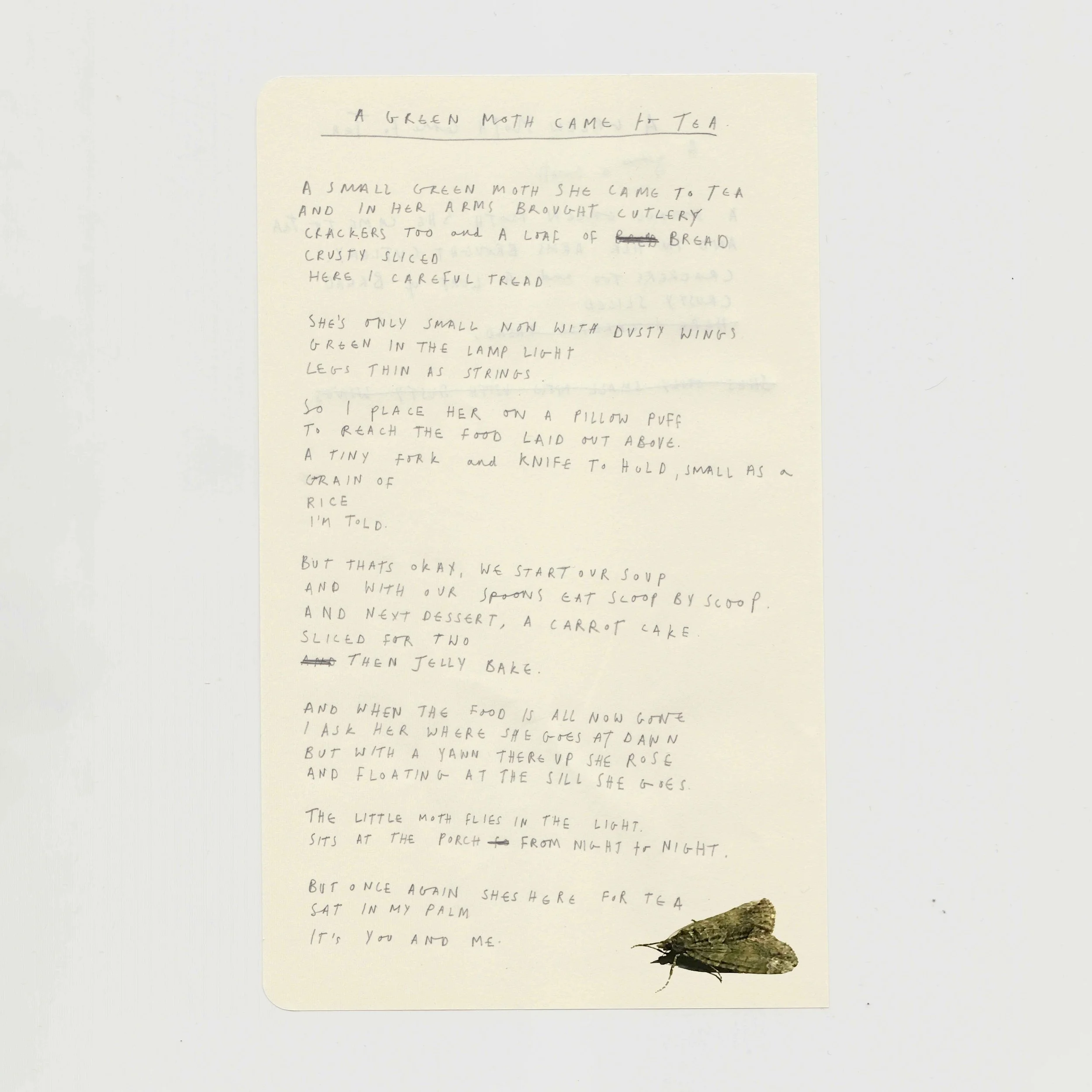 A GREEN MOTH CAME TO TEA