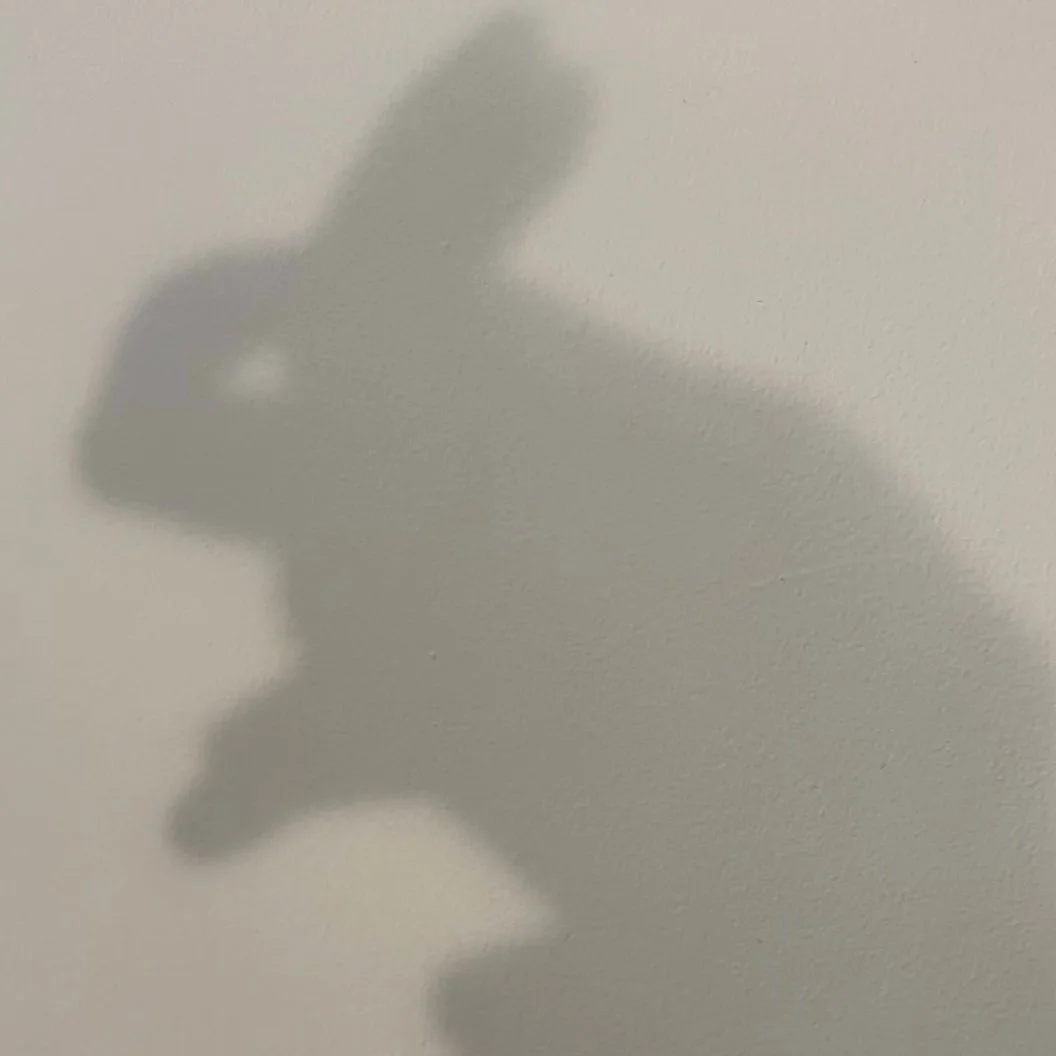 SHADOW HANDS
