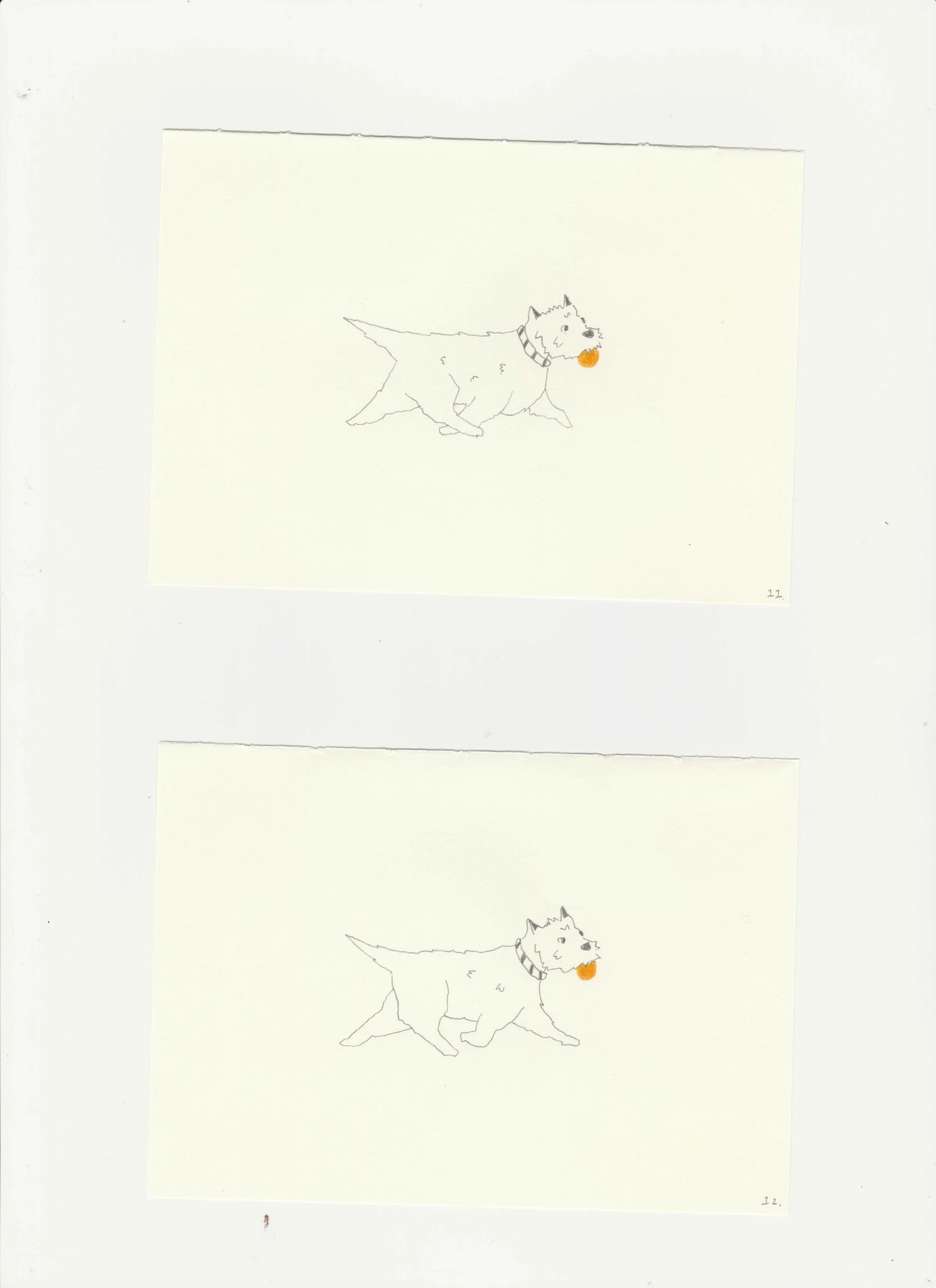 Westie animation frame by artist, Isobel Hill. Two westies trot whilst holding an orange ball.