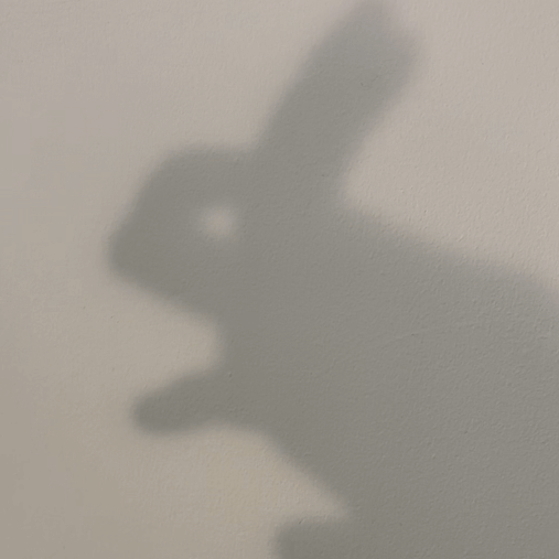 Live shadow puppet of a rabbit by artist, Isobel Hill. Show hand rabbit jumps and moves it's paws.
