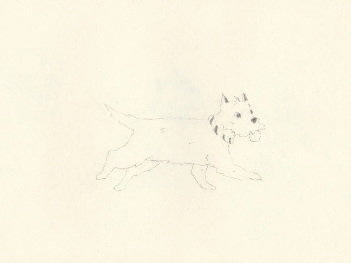 Works on paper portfolio of artist, Isobel Hill. Sketchbook drawing of a Westie running with a striped collar.