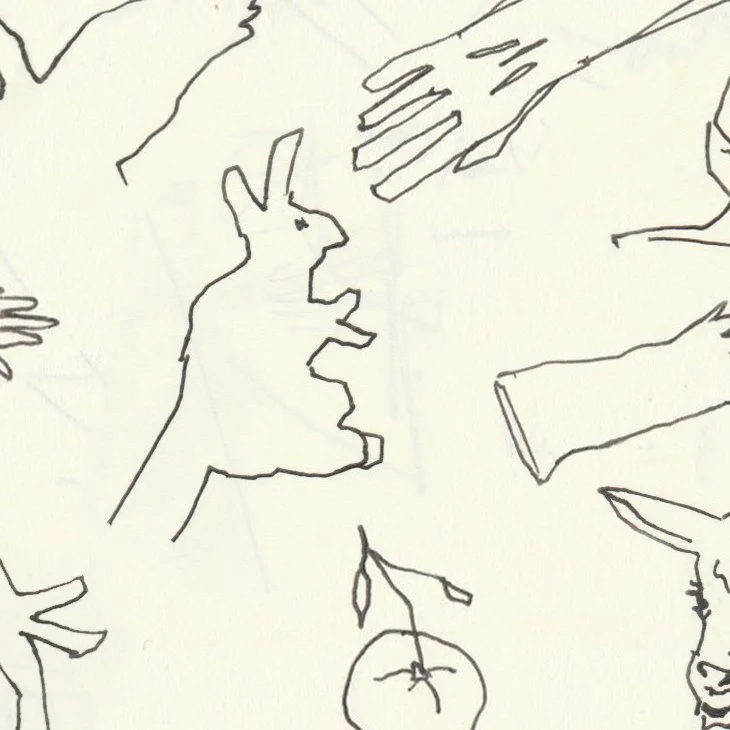 Drawing by artist, Isobel hill of gloved hands, shadow puppets and an orange on off-white paper.