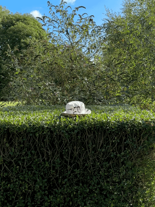 Screen printed hat by artist, Isobel Hill sat on top of a conifer large bush. Hat features artworks of a face and a carrot.